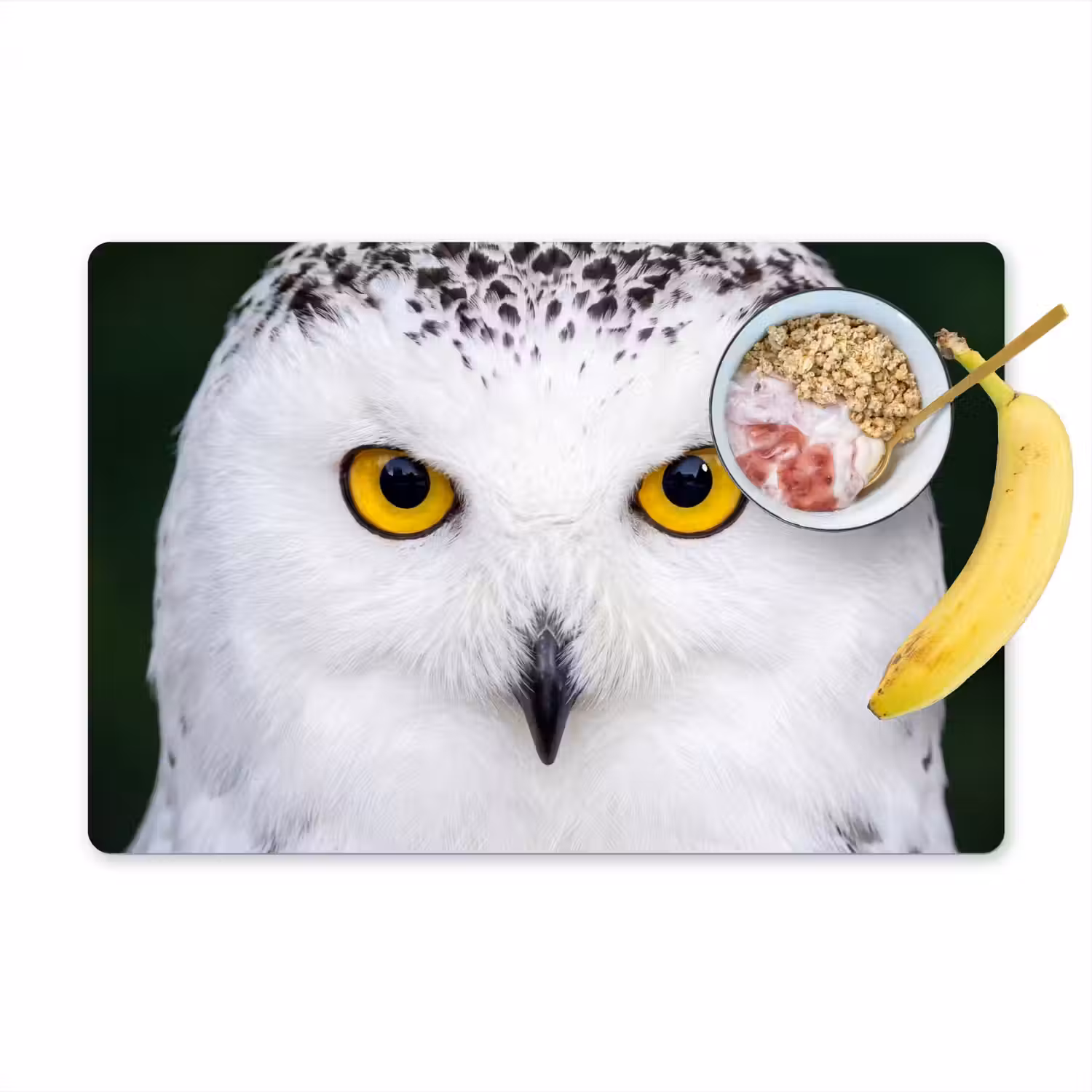 Sneeuwuil - Portret - Geel Placemat vinyl groot -zzzproduct_Kitchenyeah-website
