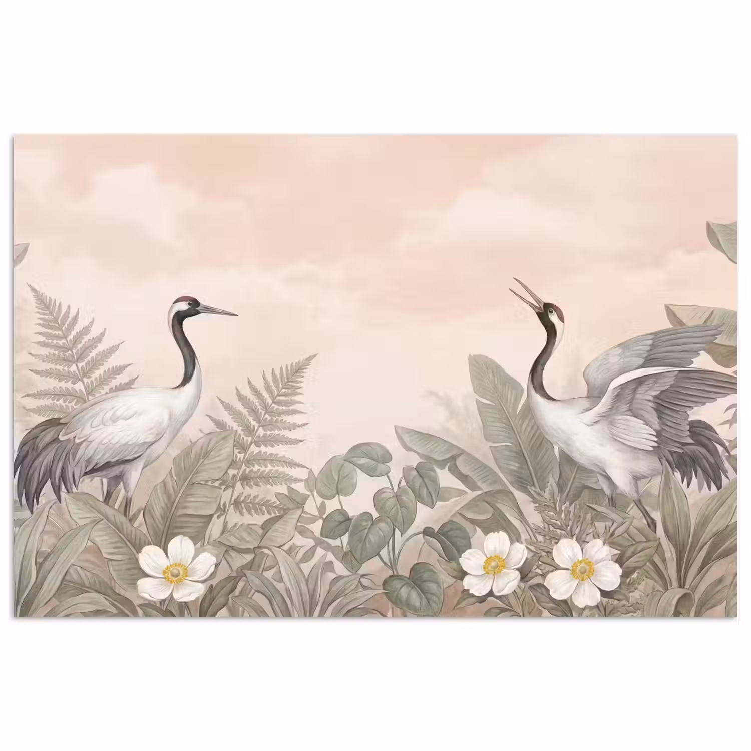 Kraanvogels - Natuur - Roze poster papier klein -3d