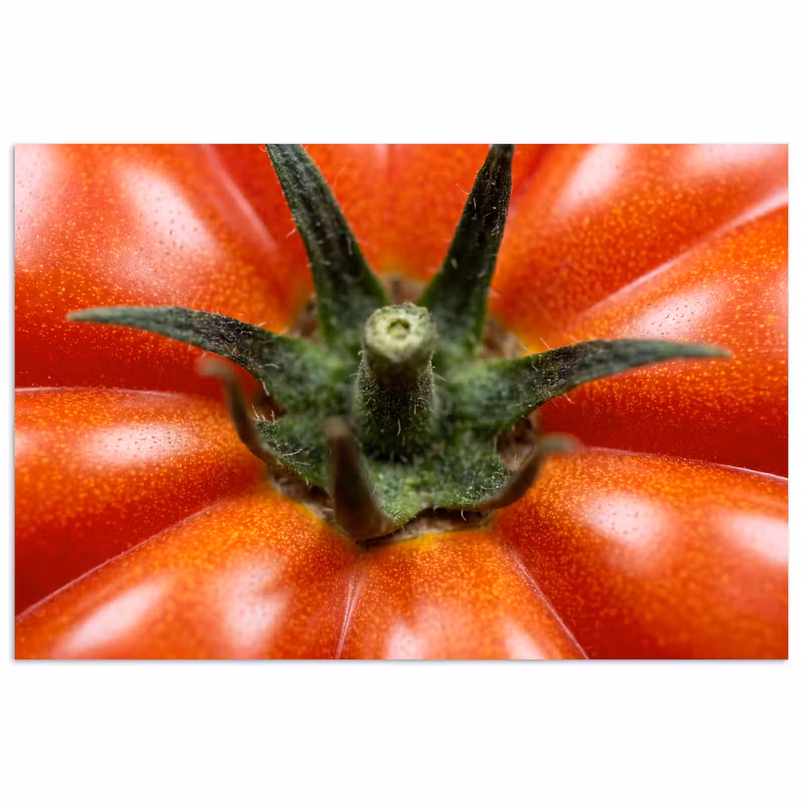 Poster - Food - Tomato - Red - Eten - Tomaat - Rood poster papier klein