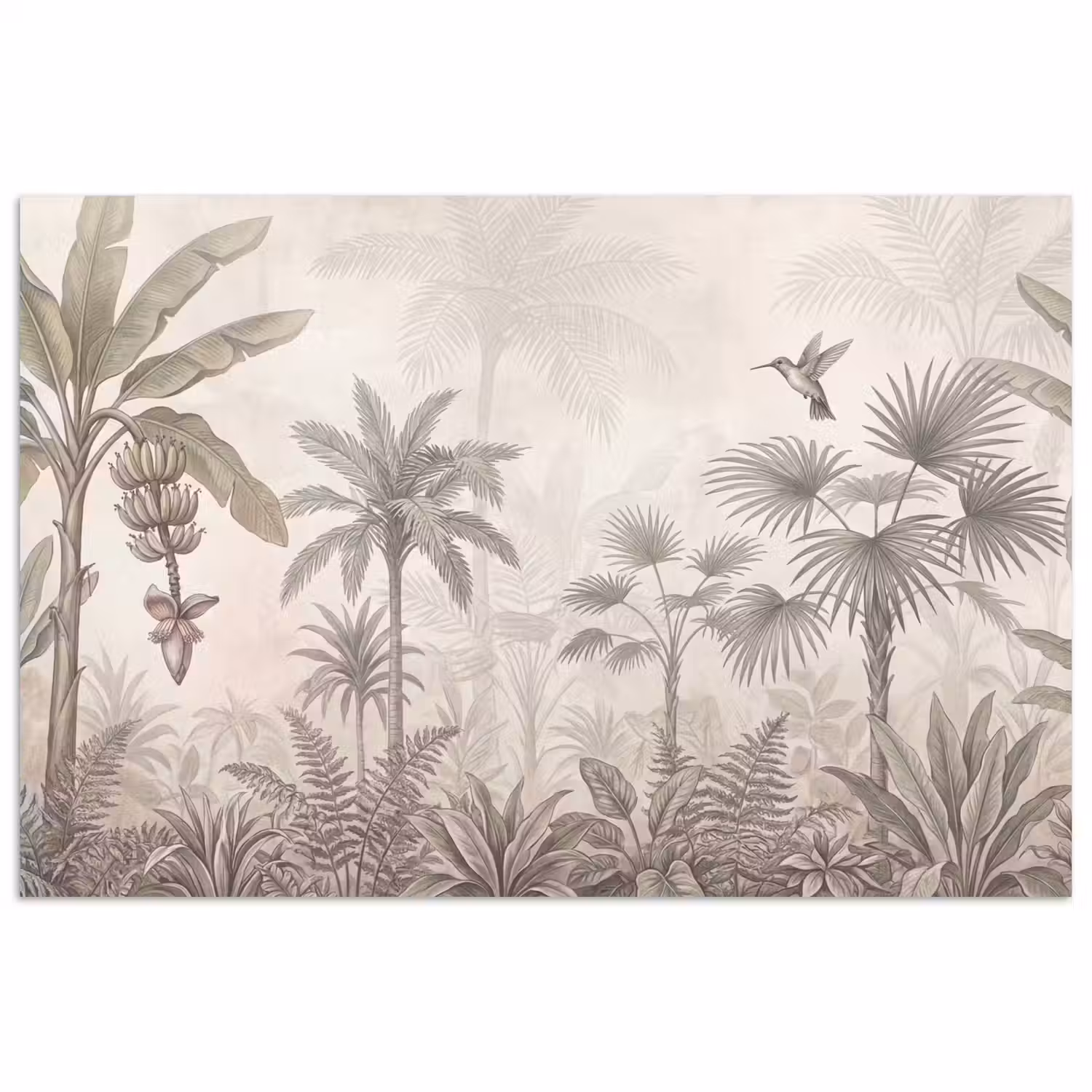 Jungle - Banenboom - Kolibrie - Beige poster papier klein -3d