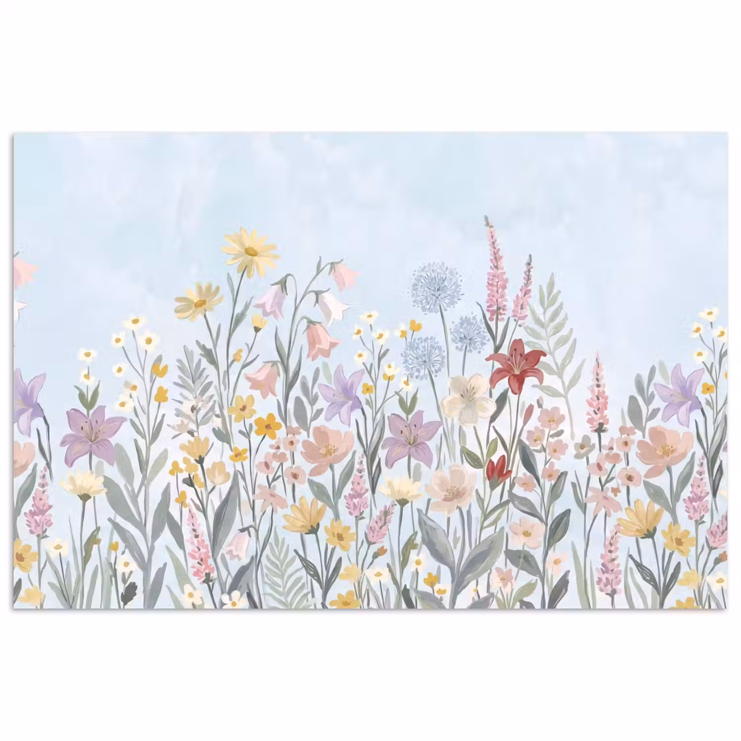 Weidebloemen - Illustratie - Kleurrijk poster papier klein -3d