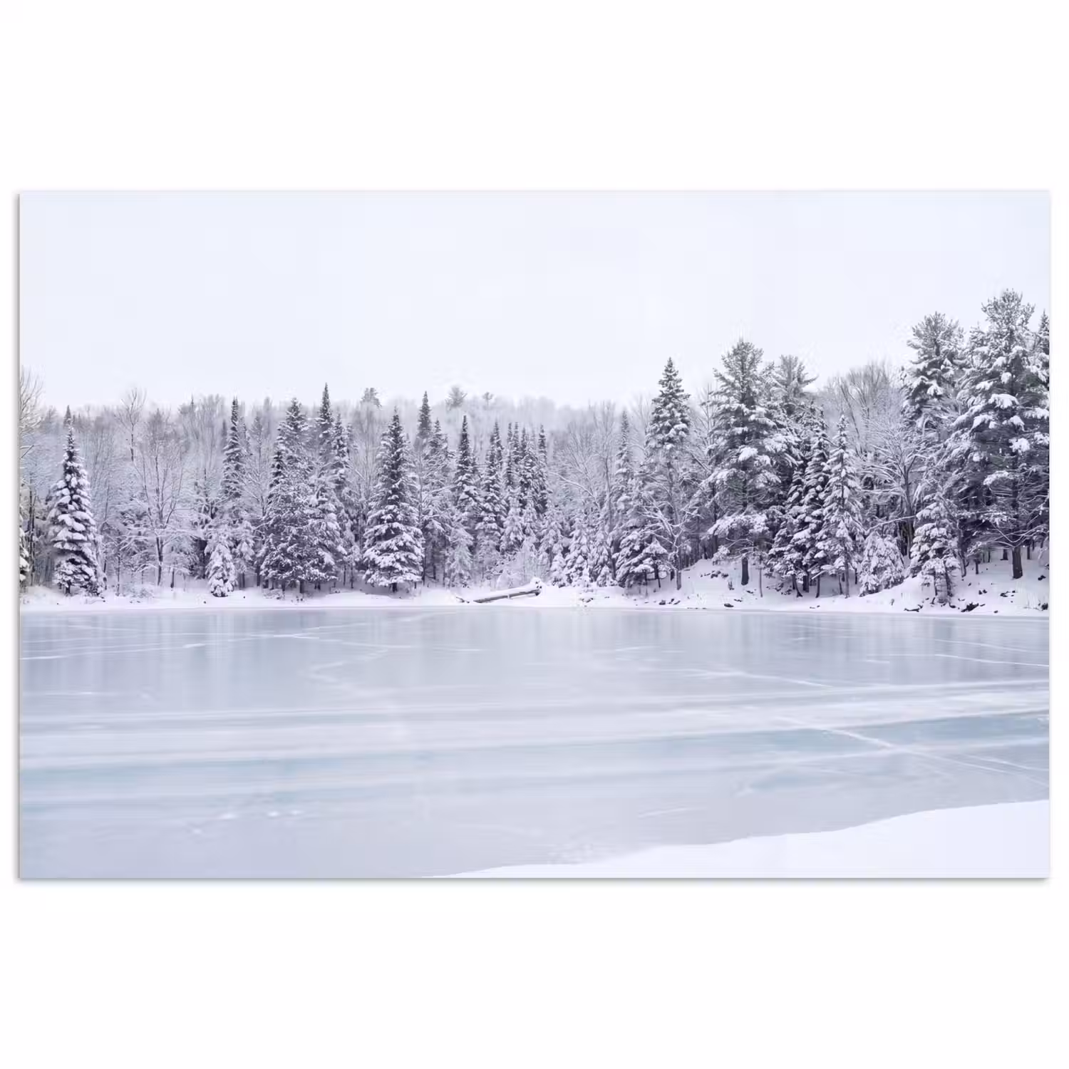 Meer - Dennen - IJs - Winter - Rustgevend poster papier klein -3d