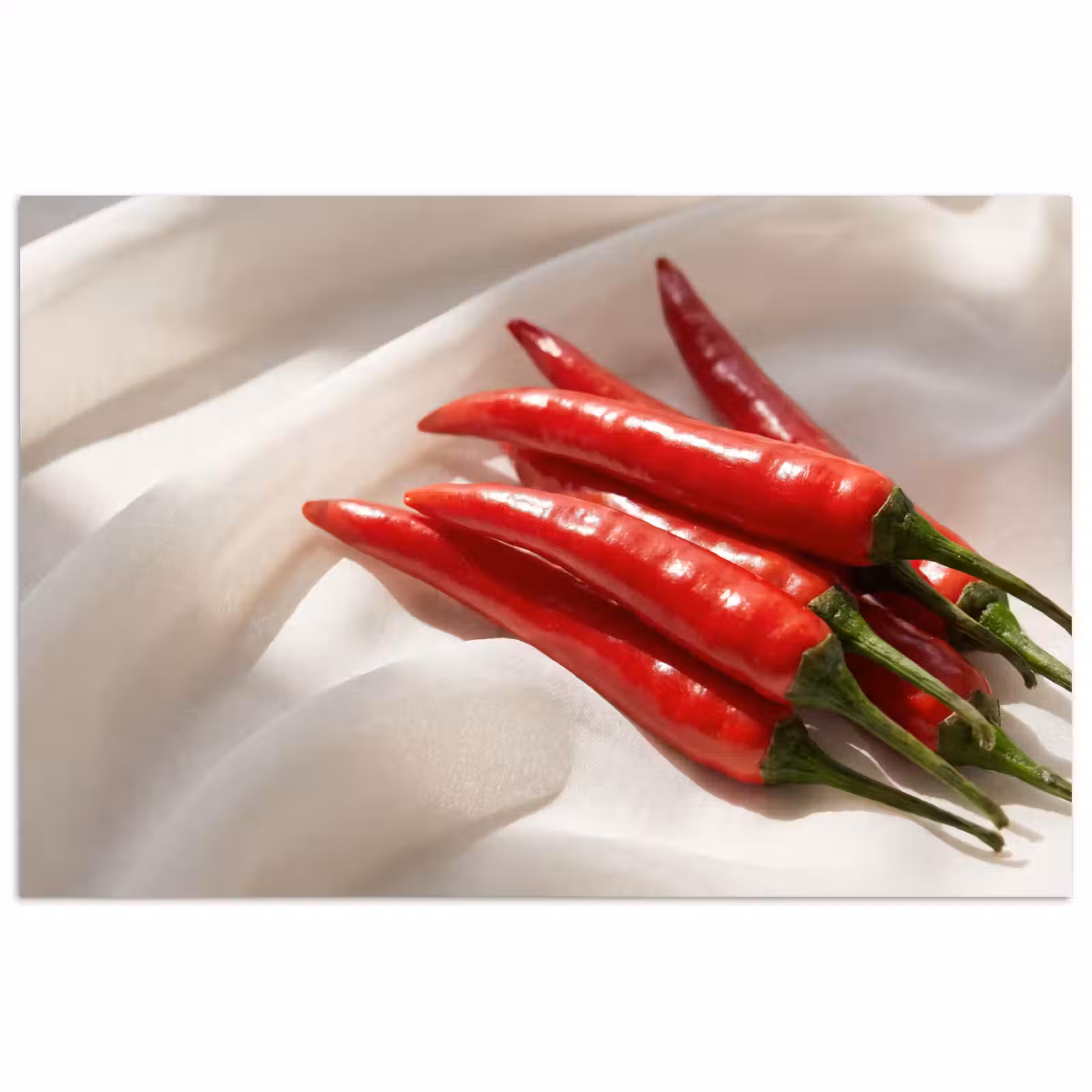 Poster - Pepper - Red - Food - Peper - Rood - Eten poster papier klein
