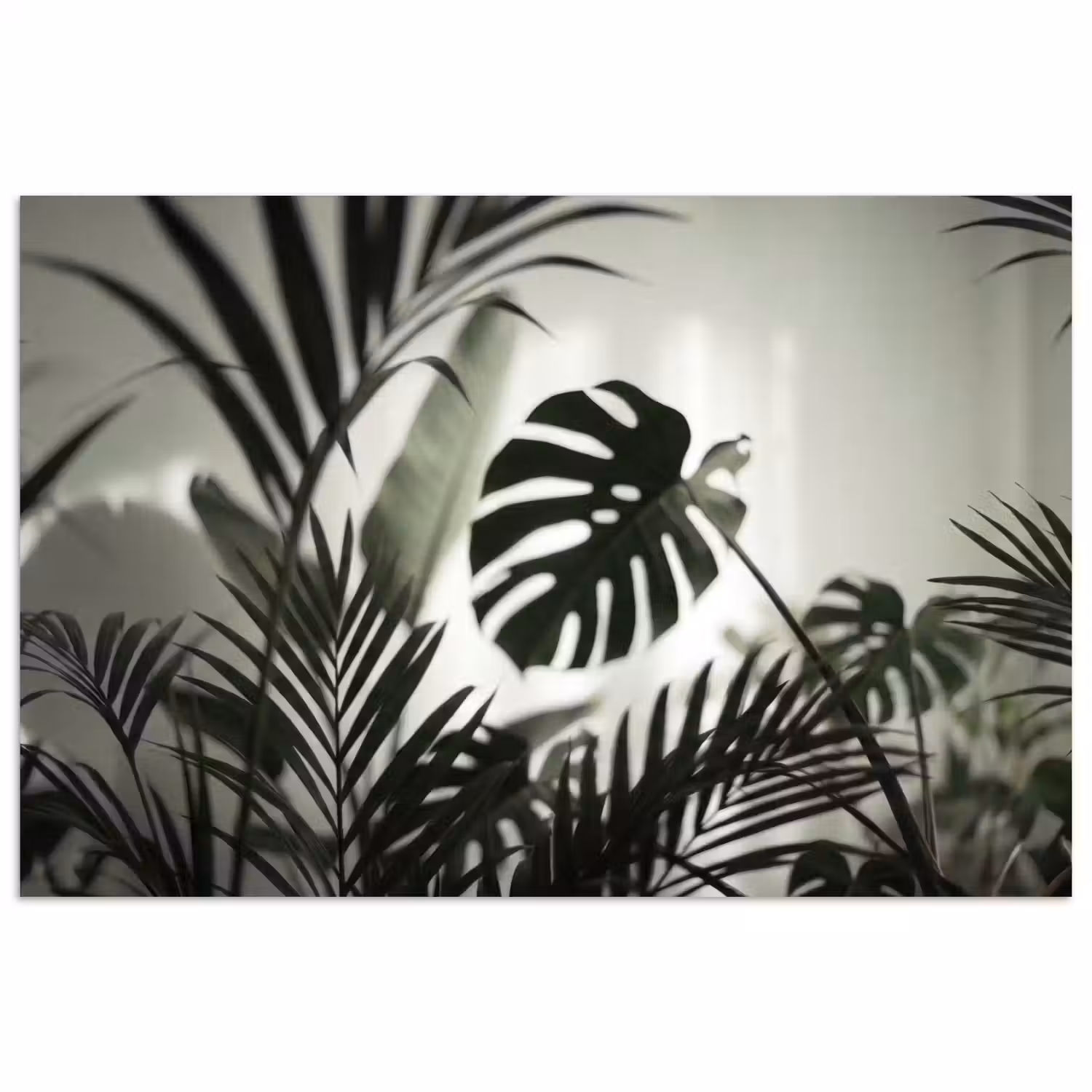 Planten - Bladeren - Natuur - Minimalistisch - Groen poster papier klein -3d
