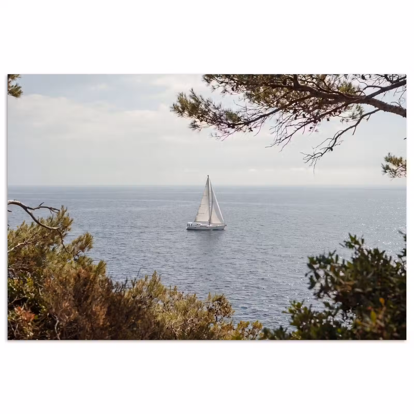Poster - Sailboat - trees - water - Zeilboot - bomen - water poster papier klein