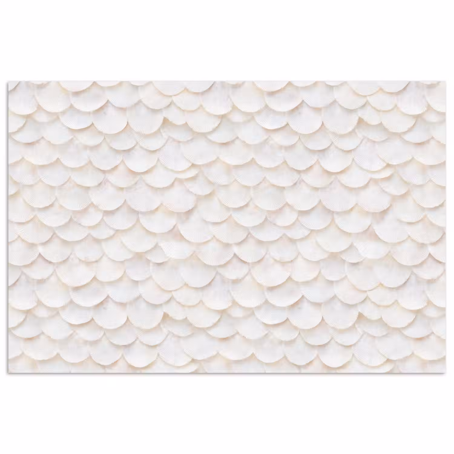Schubben - Wit - Elegant poster papier klein 62 -3d