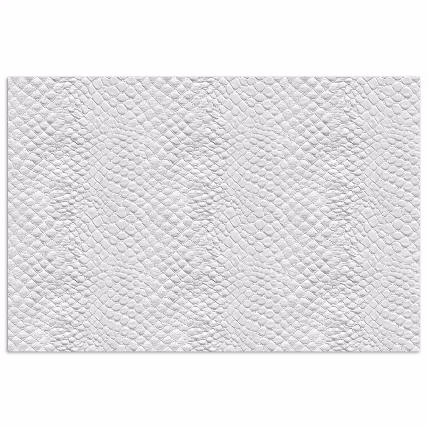 Slang - Patroon - Wit poster papier klein 62 -3d