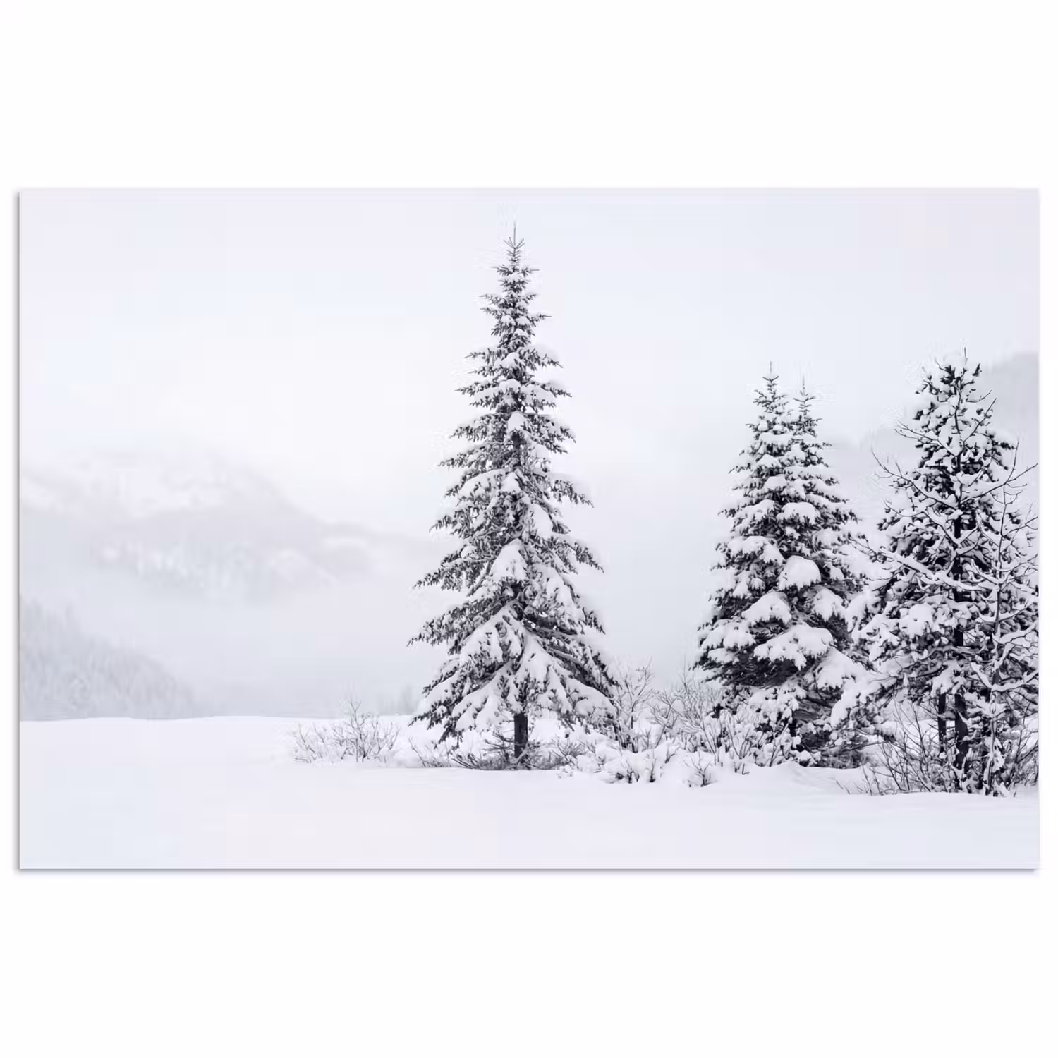 Fijnsparren - Sneeuw - Winter - Landschap - Stilte poster papier klein -3d