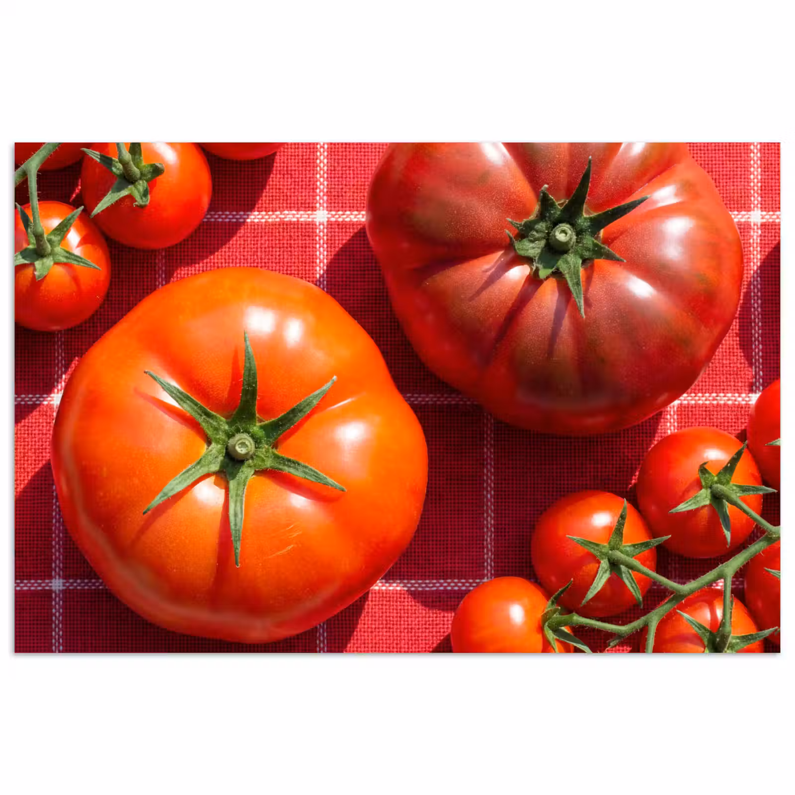 Poster - Tomato - Red - Food - Tomaat - Rood - Eten poster papier klein