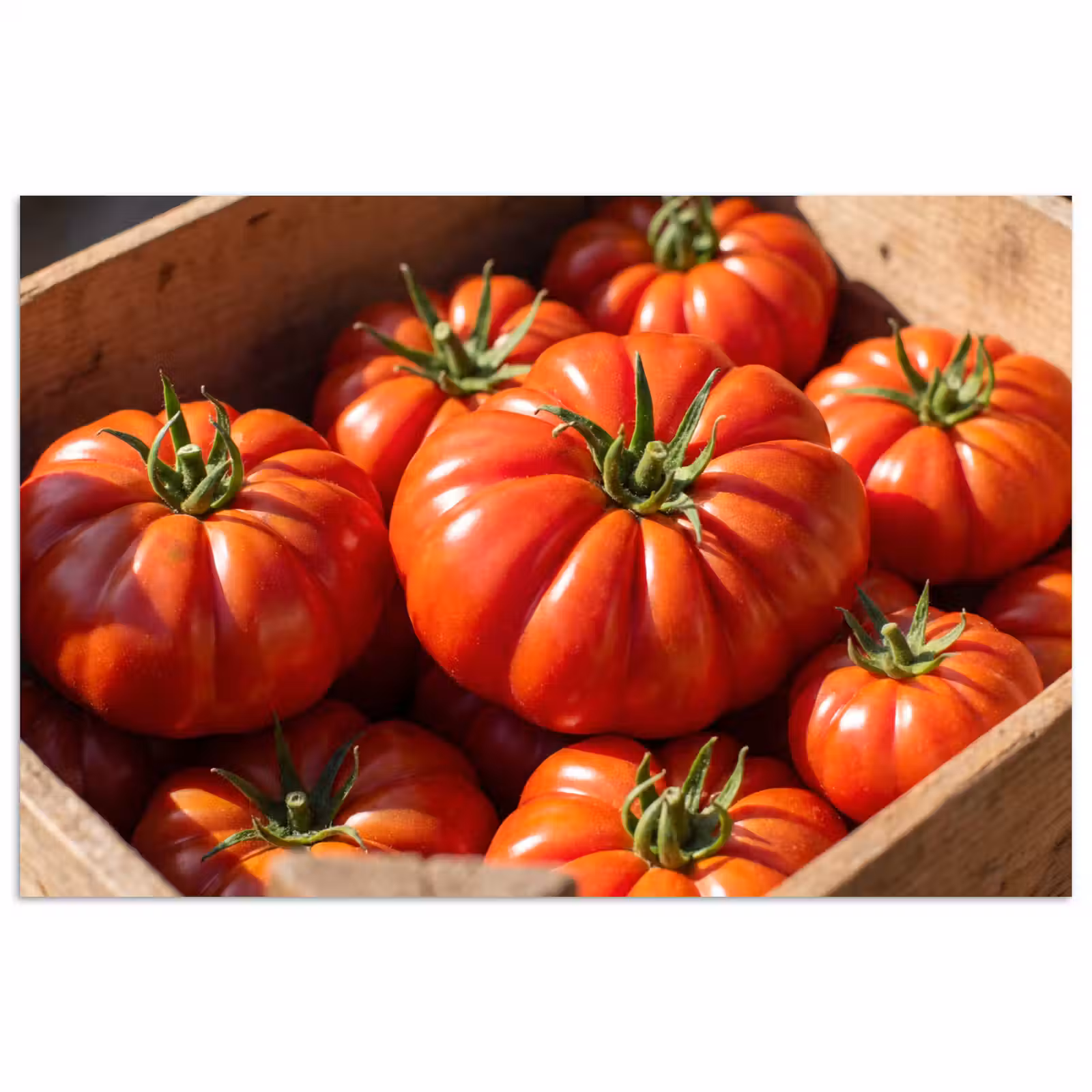 Poster - Tomato - Wooden - Crate - Tomaat - Houten - Kist poster papier klein