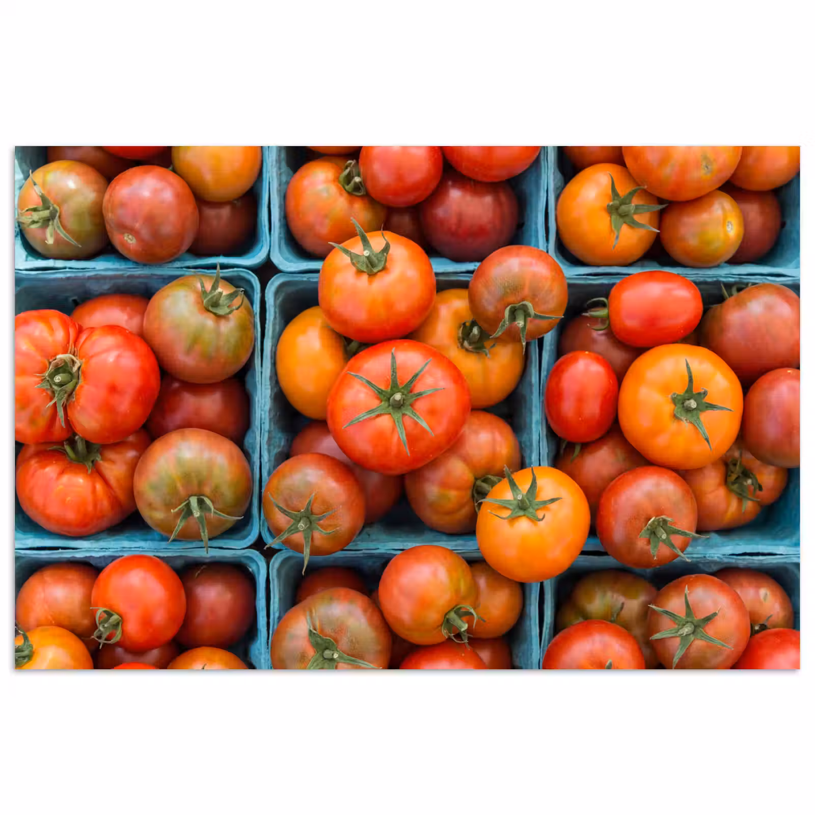 Poster - Tomatoes - Food - Colorful - Tomaten - Eten - Kleurrijk poster papier klein