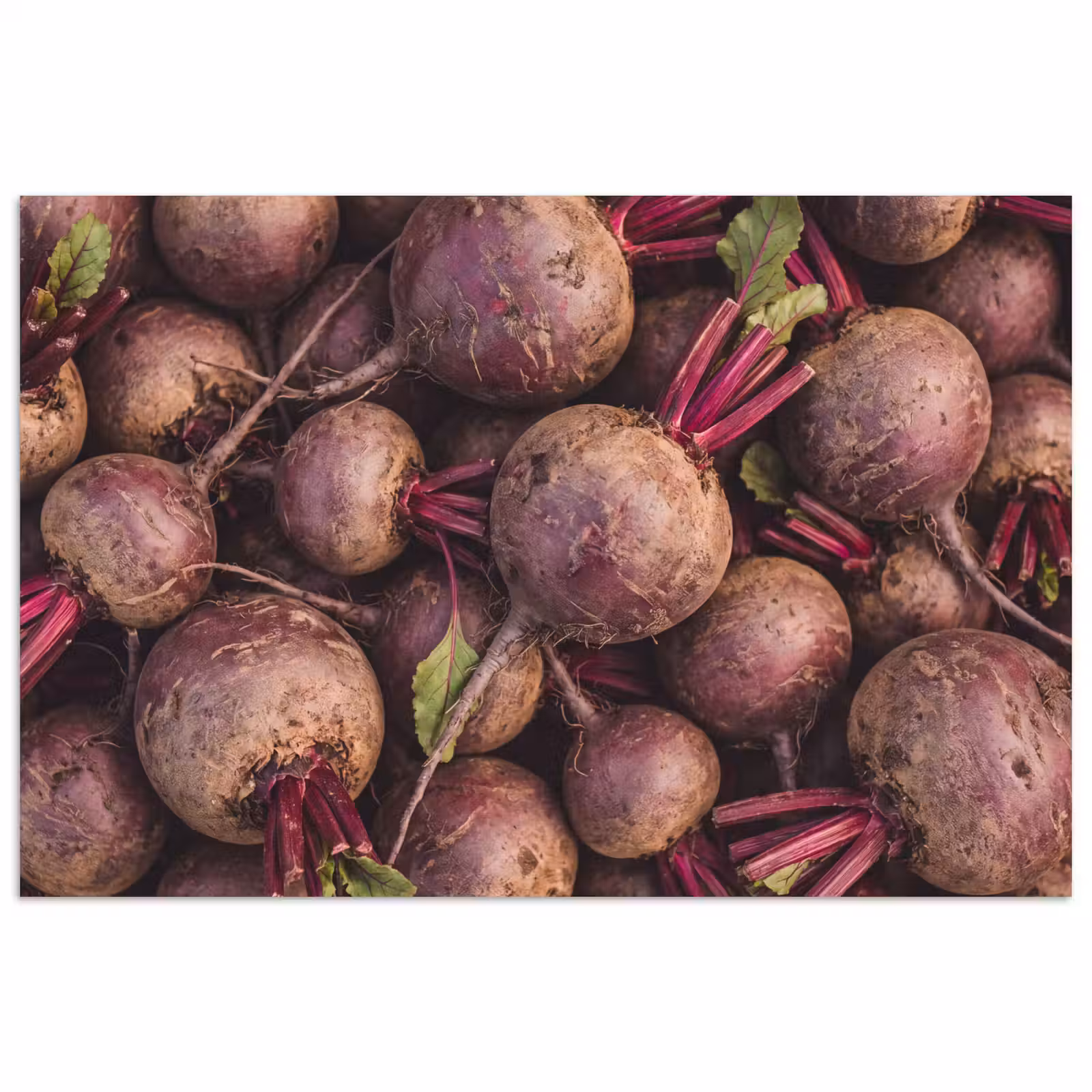 Poster - Vegetables - Red - Natural - Groente - Rood - Natuur poster papier klein