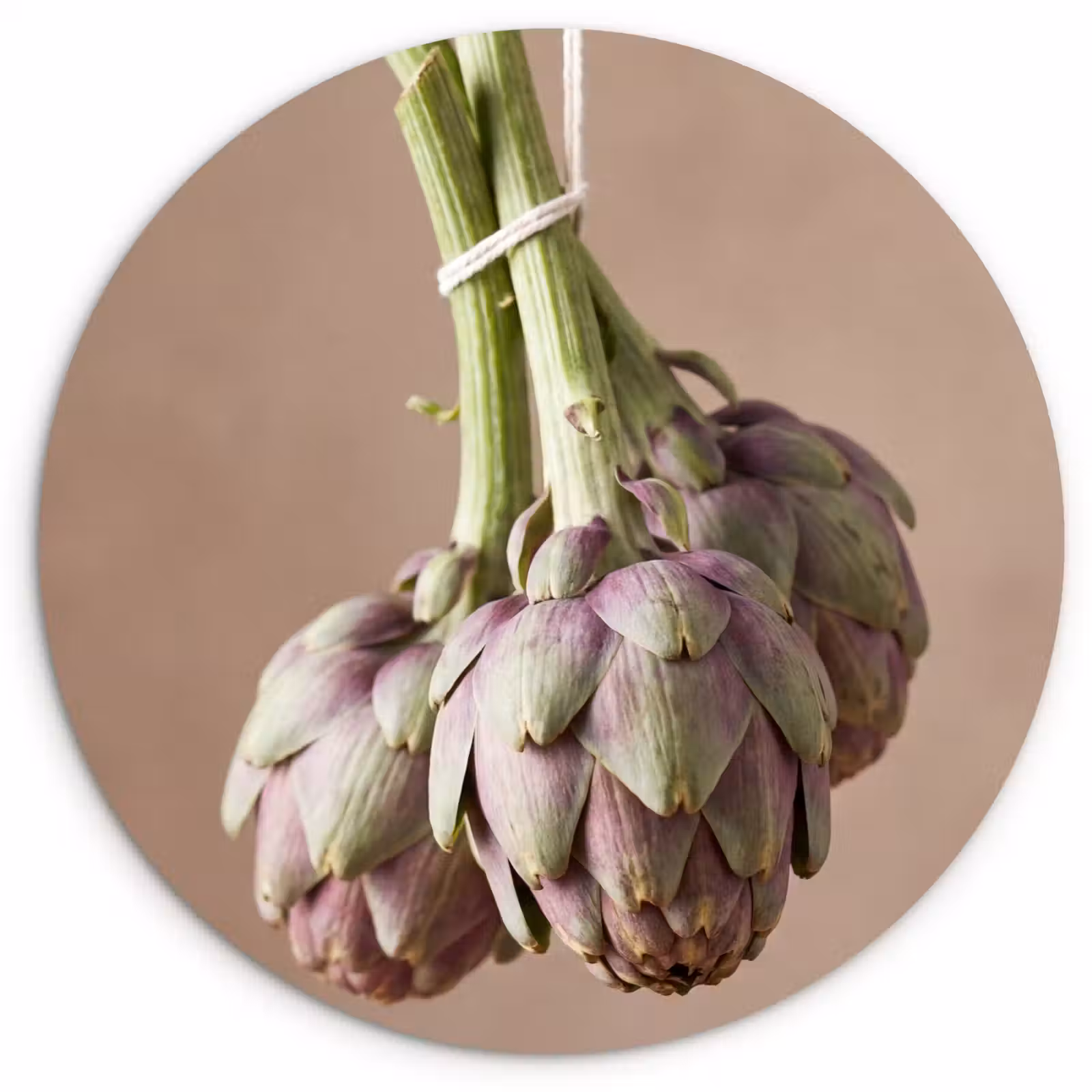 round wall art - Artichokes - Hanging - Vegetables - Artisjokken - Hangend - Groenten Wandcirkel kunststof plaat 5mm dik klein