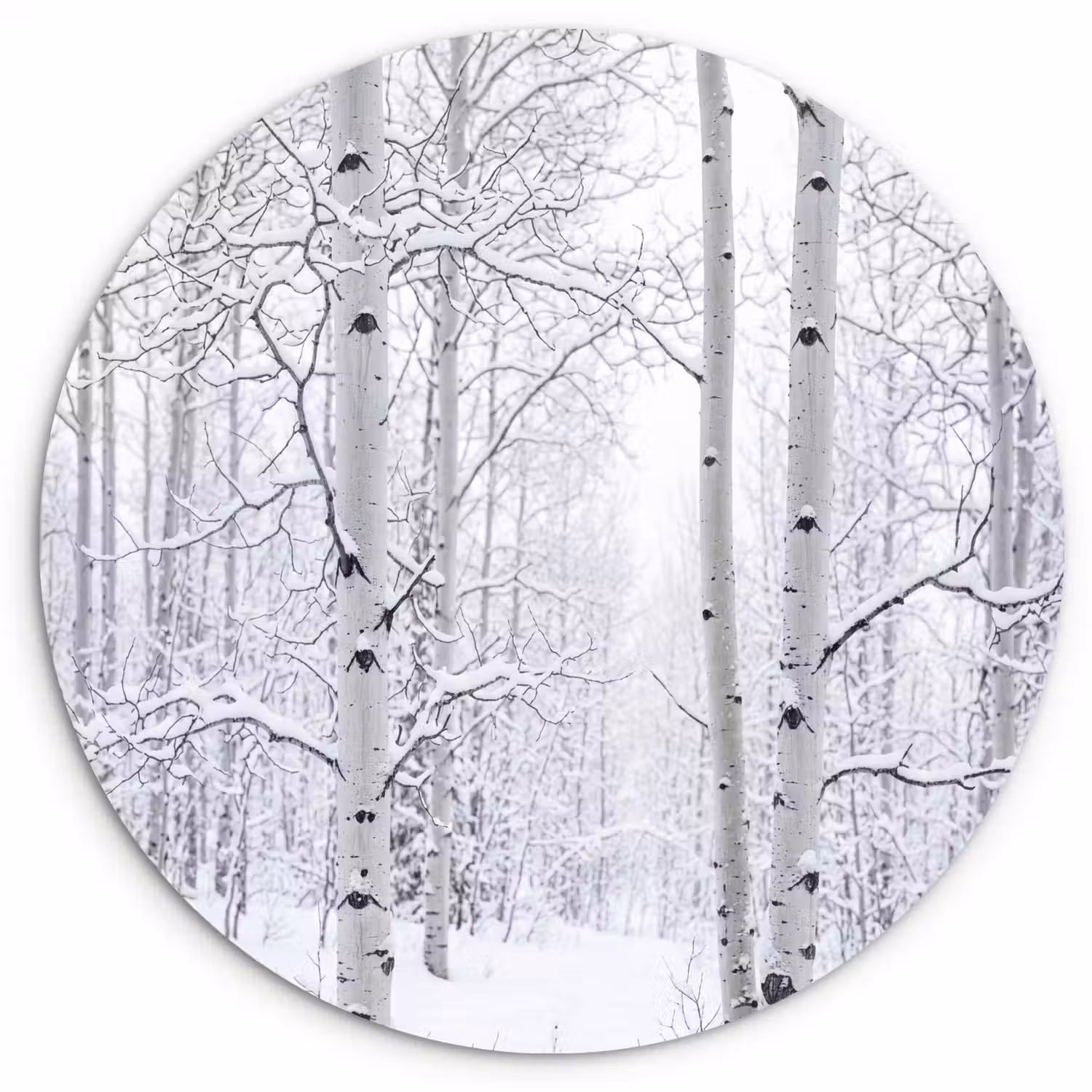 Berkenbomen - Sneeuw - Winter - Bos - Wit Wandcirkel kunststof plaat 5mm dik klein -3d