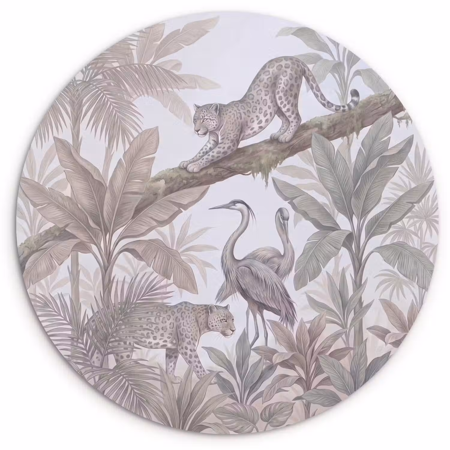 Kat - Vogel - Jungle - Illustratie - Dieren Wandcirkel kunststof plaat 5mm dik klein -3d