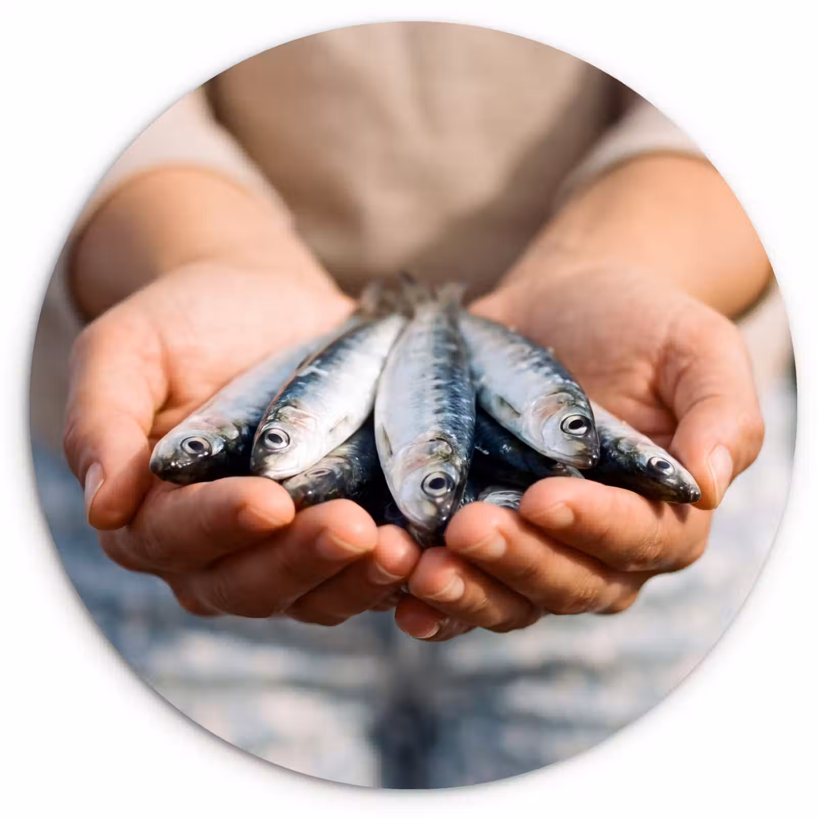 round wall art - Fish - Hands - Nature - Vis - Handen - Natuur Wandcirkel kunststof plaat 5mm dik klein