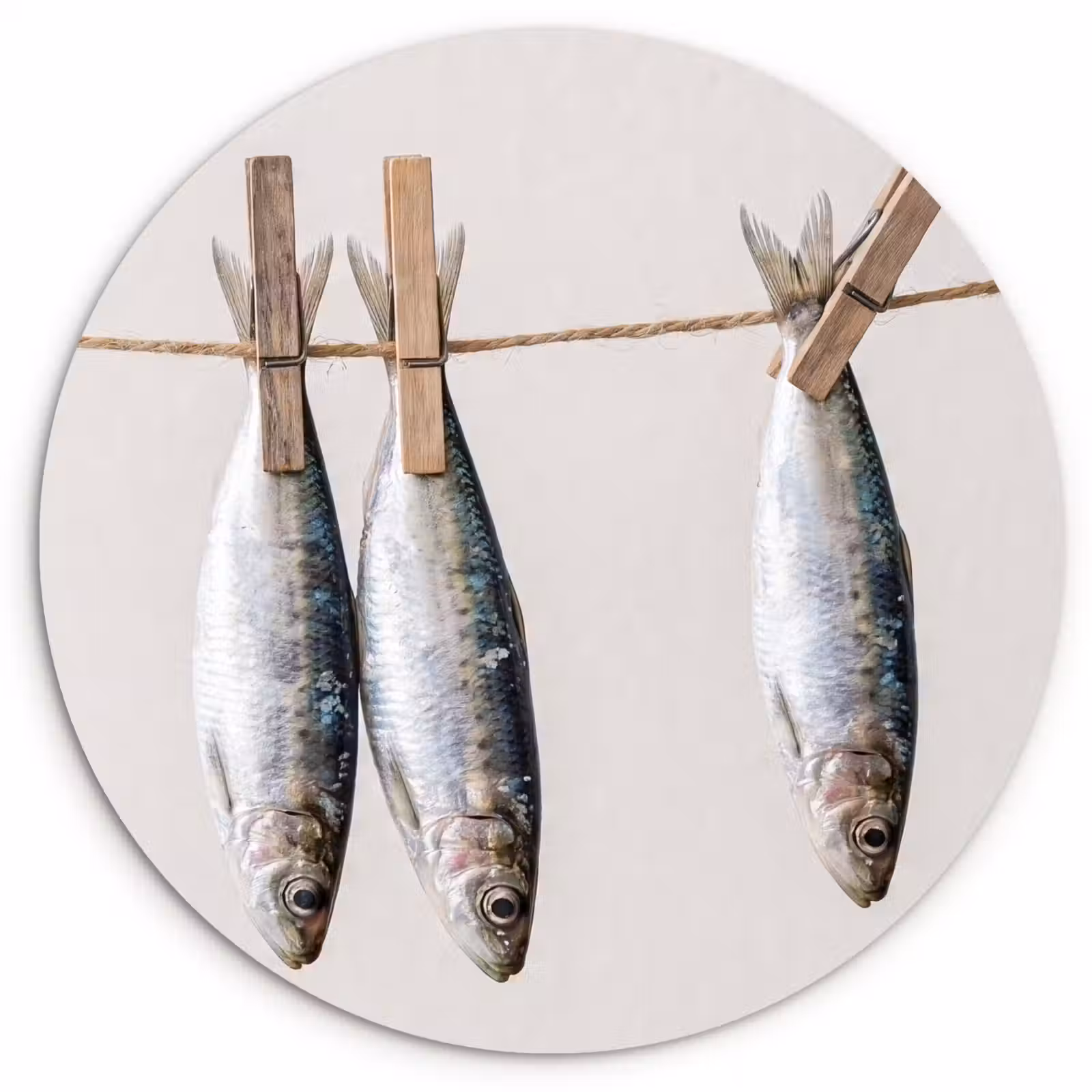 round wall art - Fish - Hanging - Food - Vis - Hangend - Eten Wandcirkel kunststof plaat 5mm dik klein