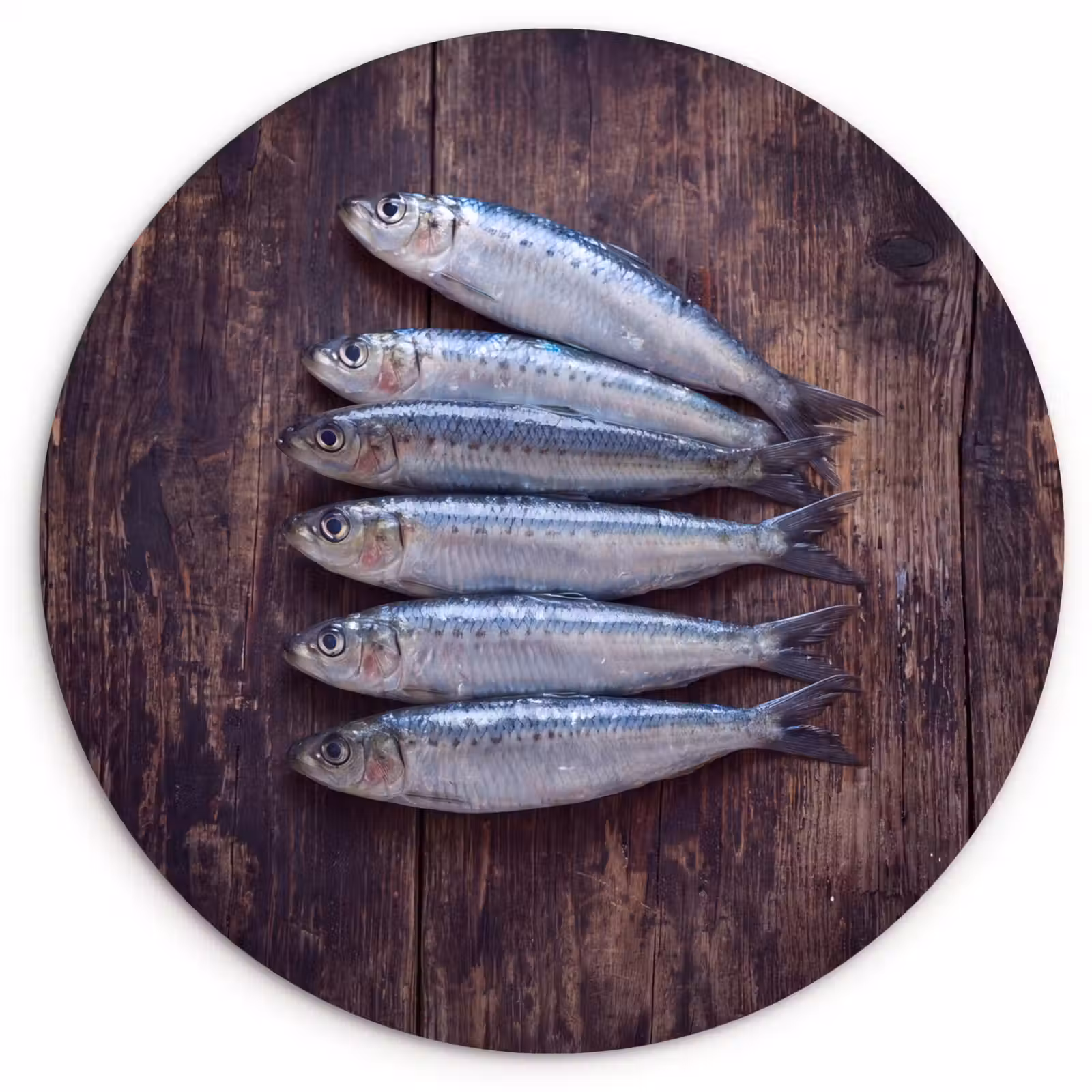 round wall art - Fish - Wood - Food - Vis - Hout - Eten Wandcirkel kunststof plaat 5mm dik klein