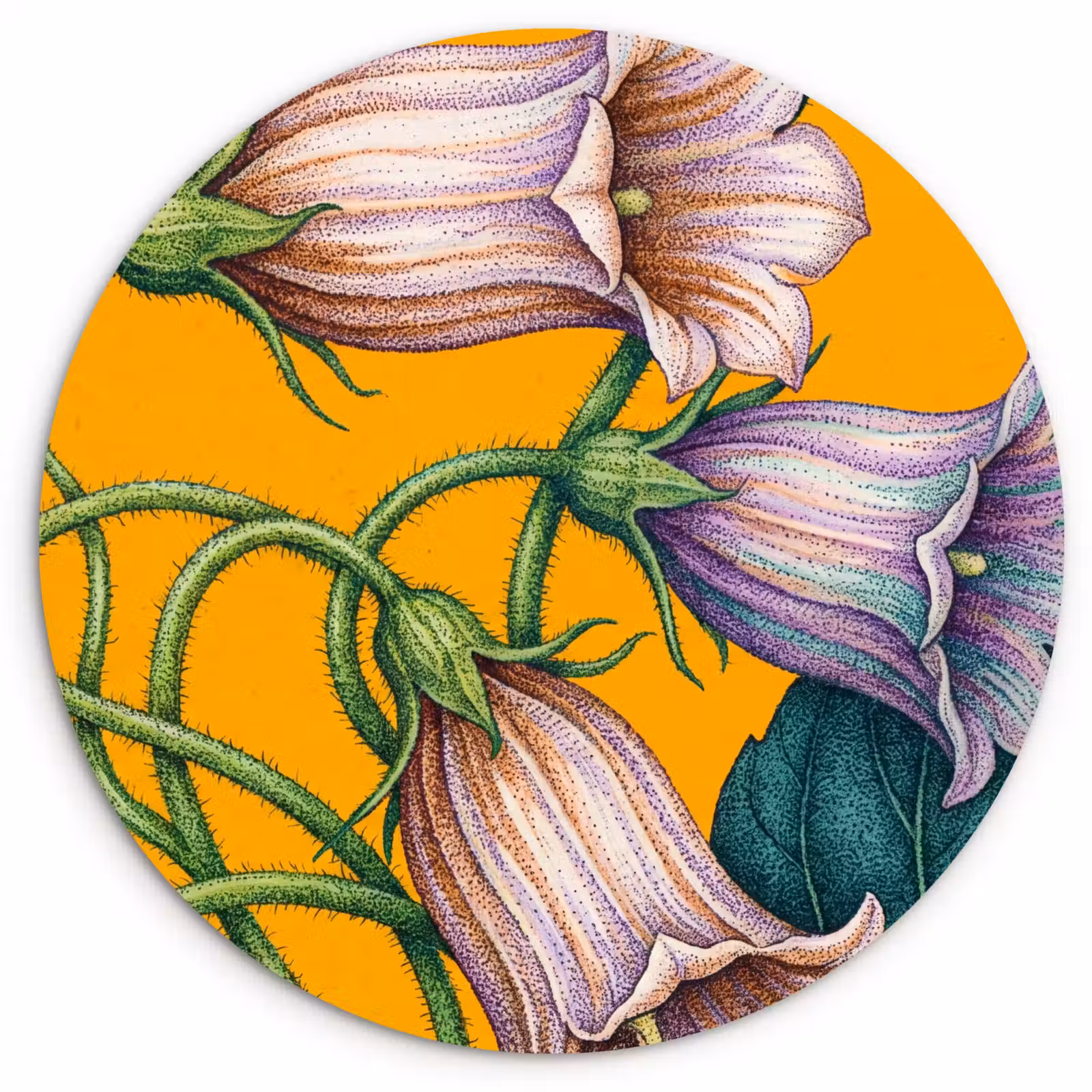 round wall art - Flowers - Botanical - Yellow - Bloemen - Botanisch - Geel Wandcirkel kunststof plaat 5mm dik klein