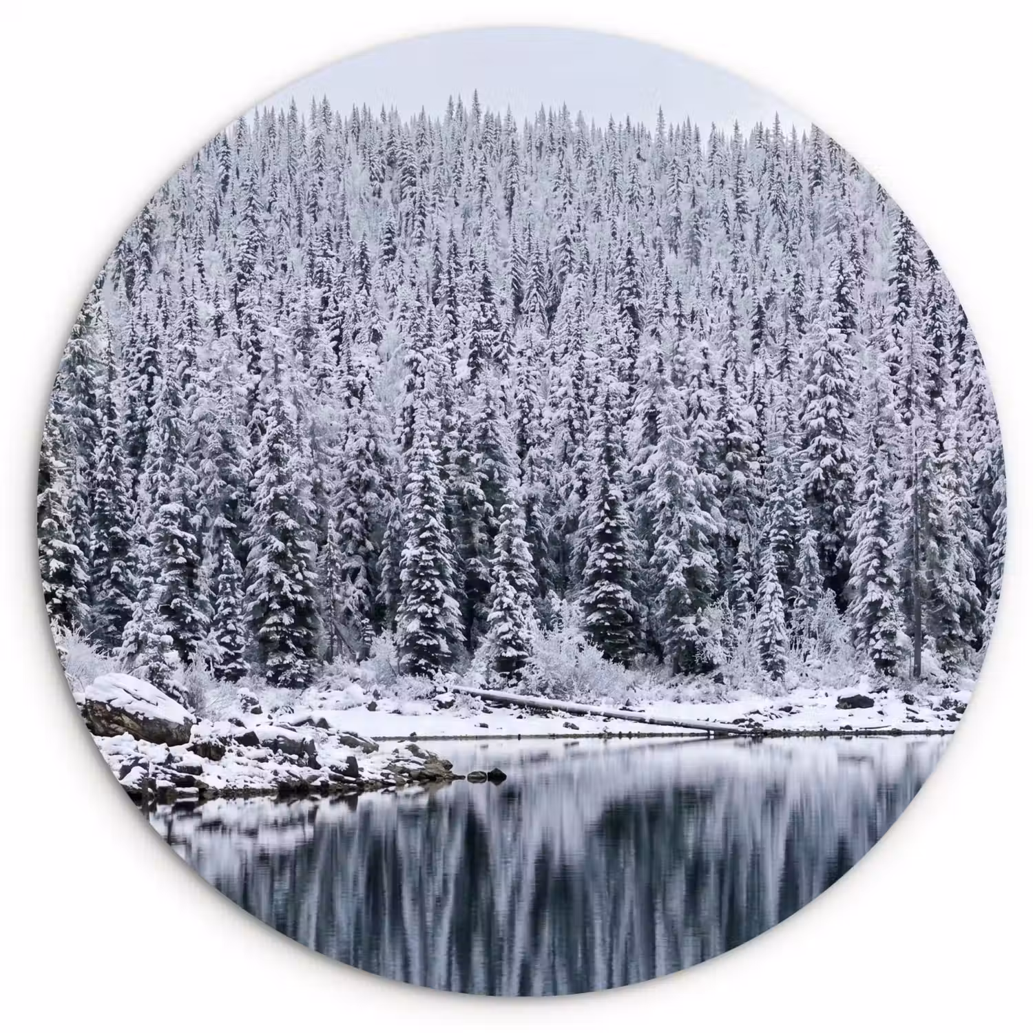 Bos - Reflectie - Meer - Winter - Serene Wandcirkel kunststof plaat 5mm dik klein -3d