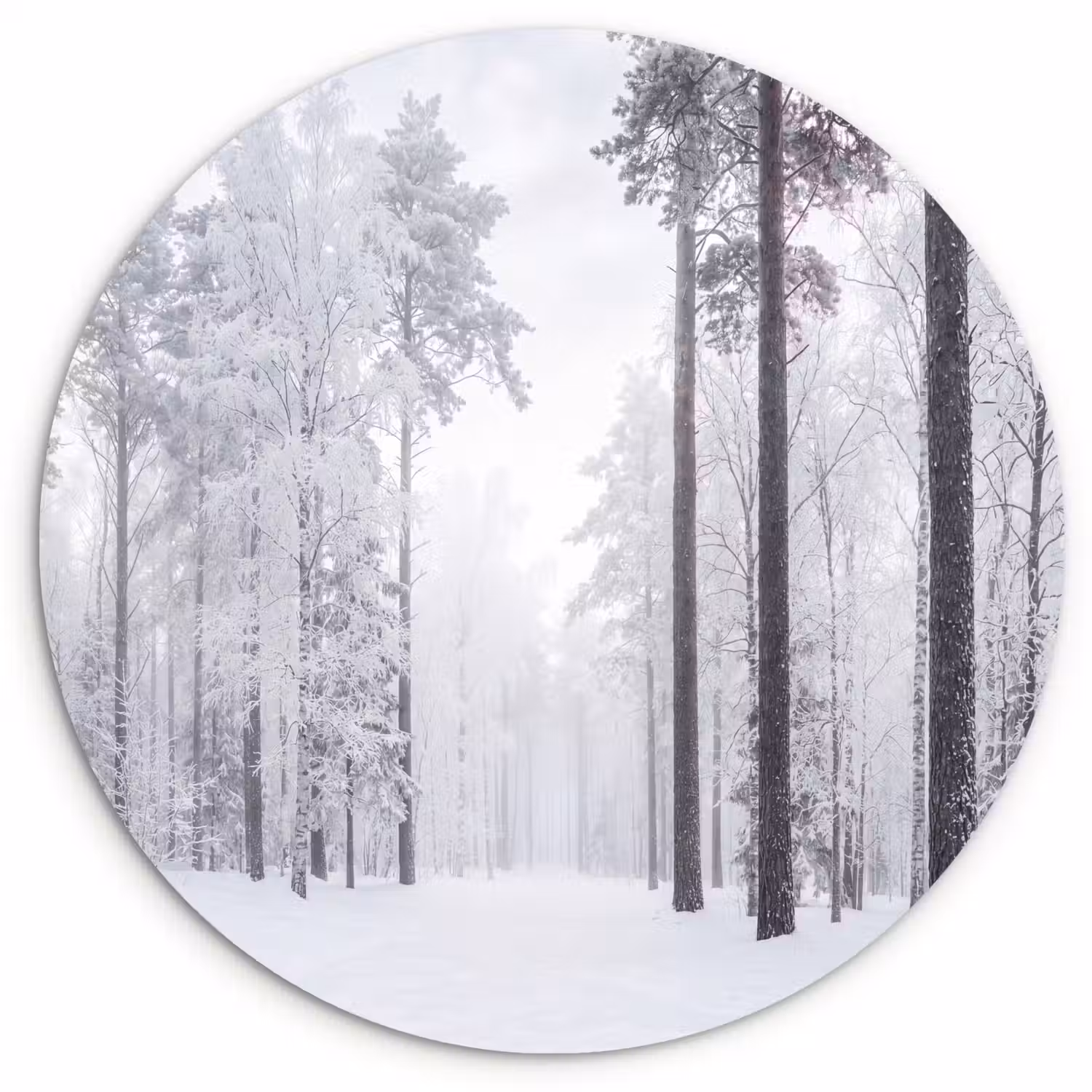 Bos - Sneeuw - Pad - Winter - Stilte Wandcirkel kunststof plaat 5mm dik klein -3d