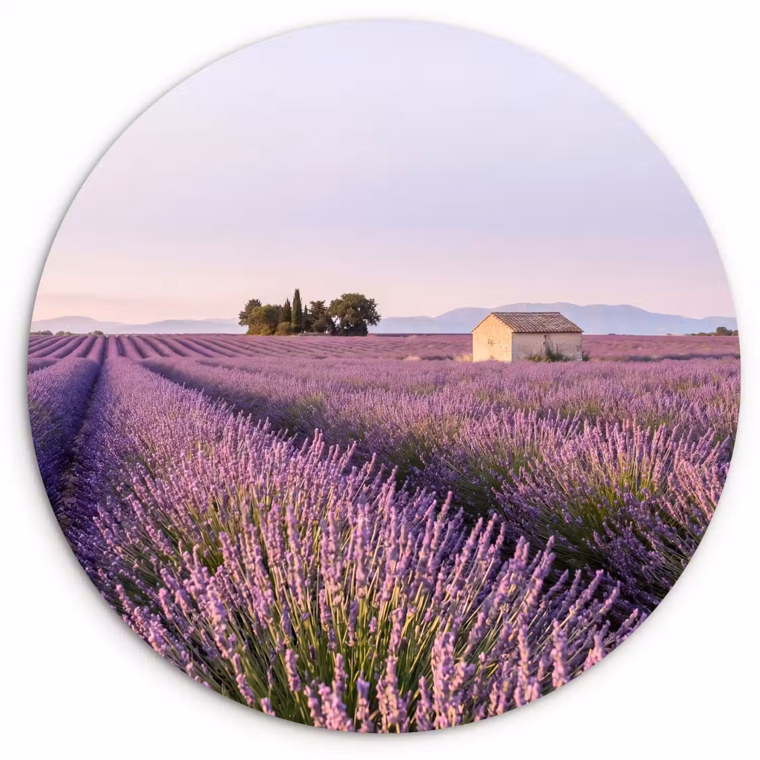 Lavendel - Landschap - Sereen - Paars Wandcirkel kunststof plaat 5mm dik klein -3d