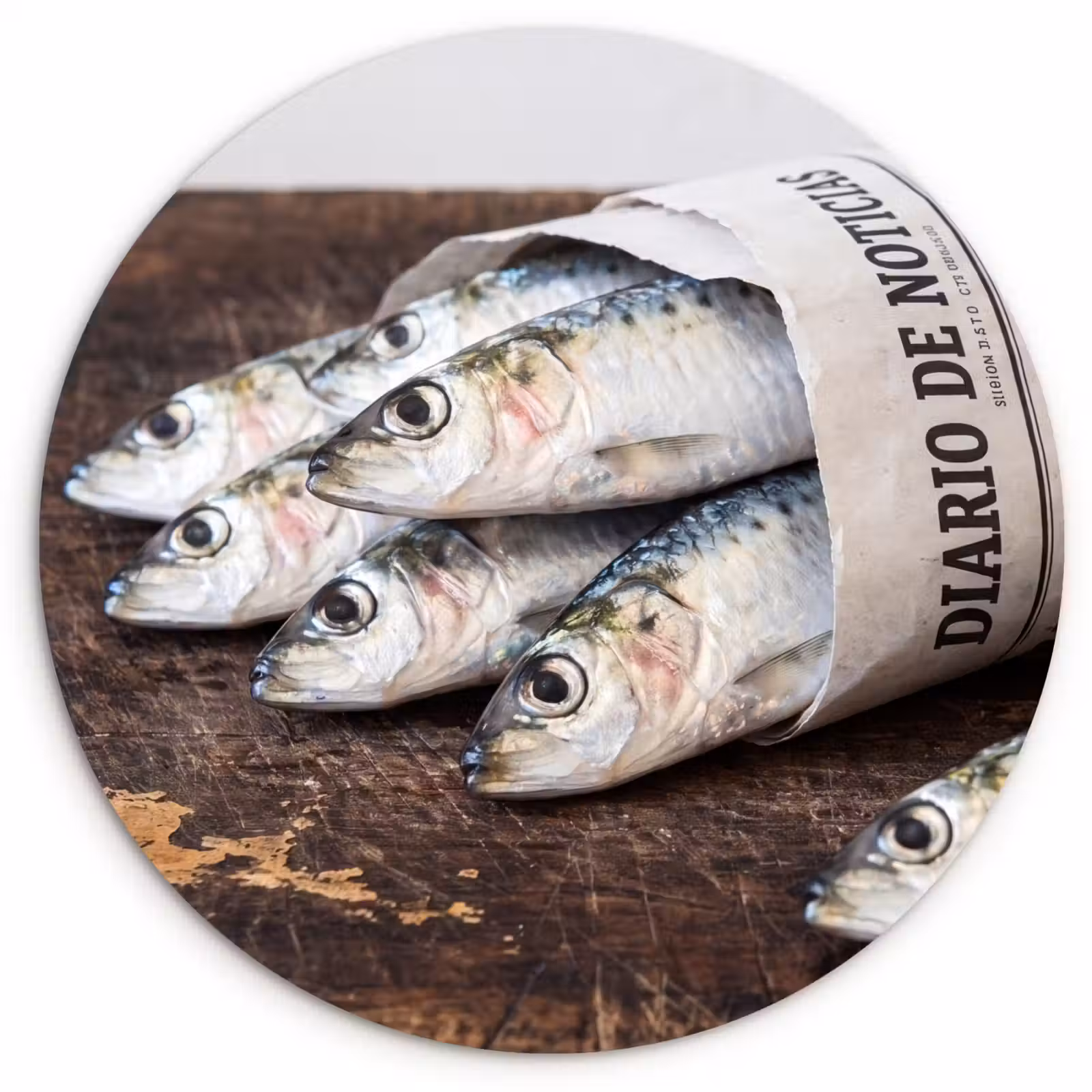 round wall art - Little Sardine - newspaper - cutting board - Sardientje - krant - snijplank Wandcirkel kunststof plaat 5mm dik klein