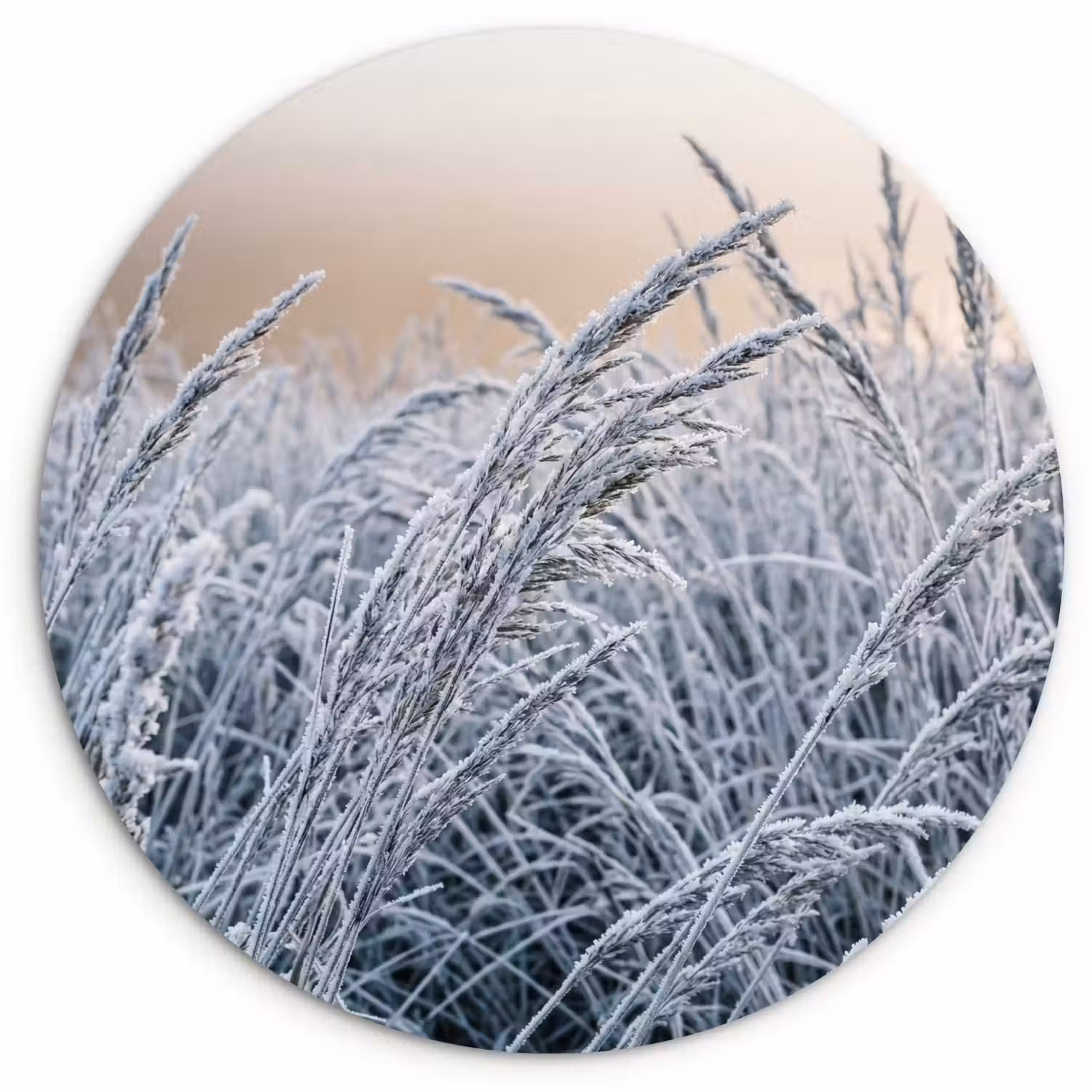 Rijp - Gras - Kristallen - Winter - Minimalistisch Wandcirkel kunststof plaat 5mm dik klein -3d