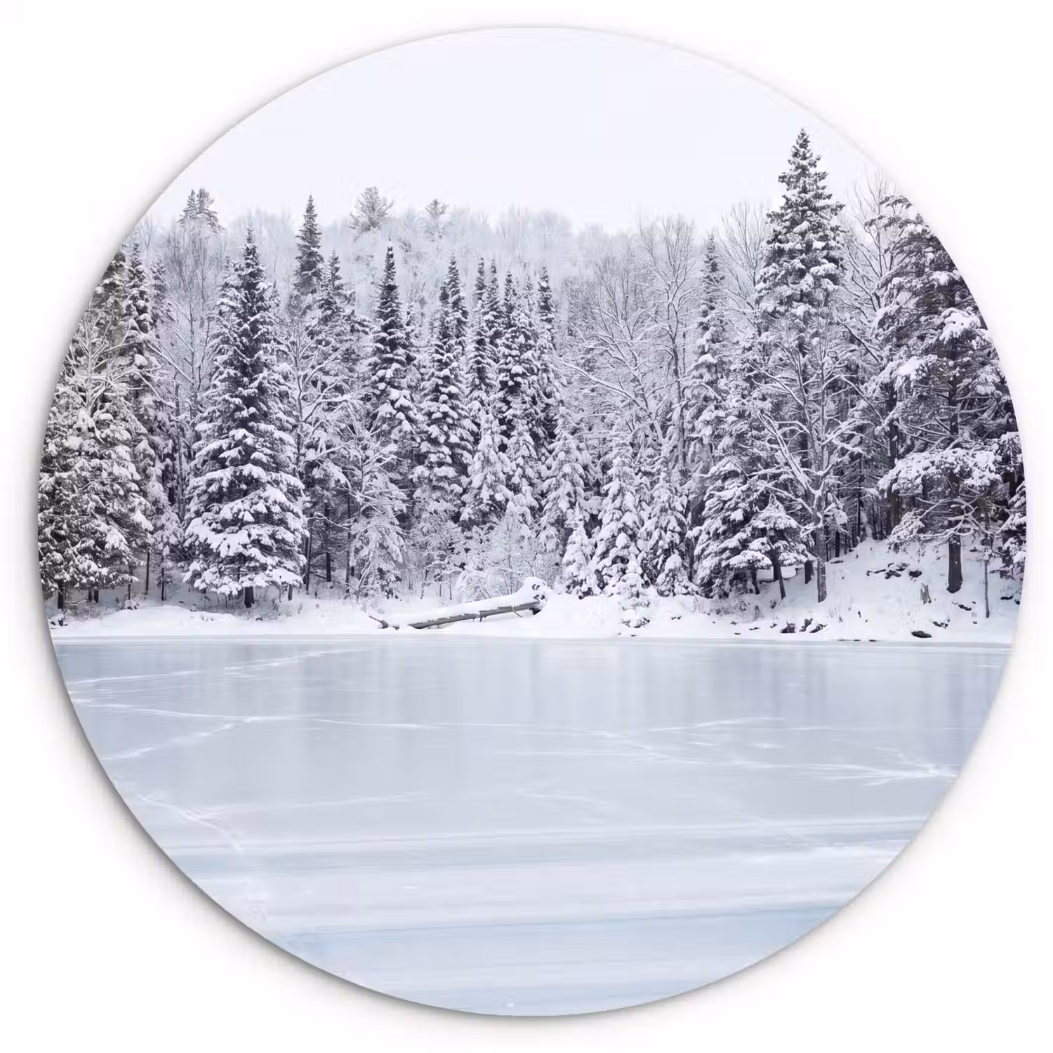 Meer - Dennen - IJs - Winter - Rustgevend Wandcirkel kunststof plaat 5mm dik klein -3d