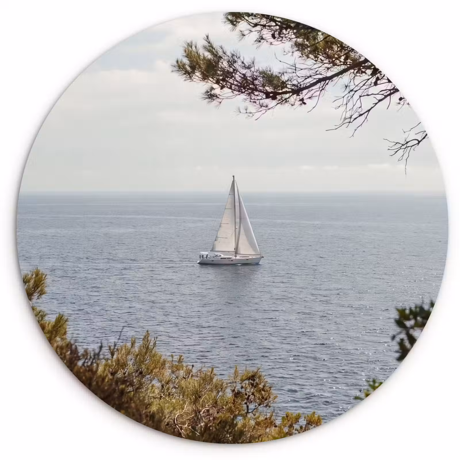 round wall art - Sailboat - trees - water - Zeilboot - bomen - water Wandcirkel kunststof plaat 5mm dik klein