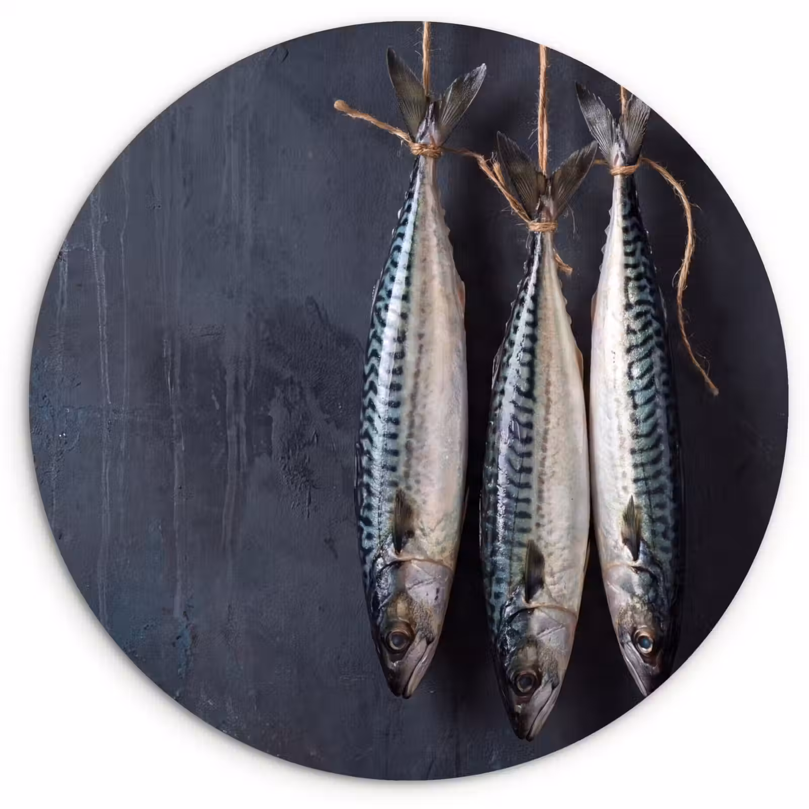 round wall art - Three Fish - Rope - Drie vissen - Touw Wandcirkel kunststof plaat 5mm dik klein