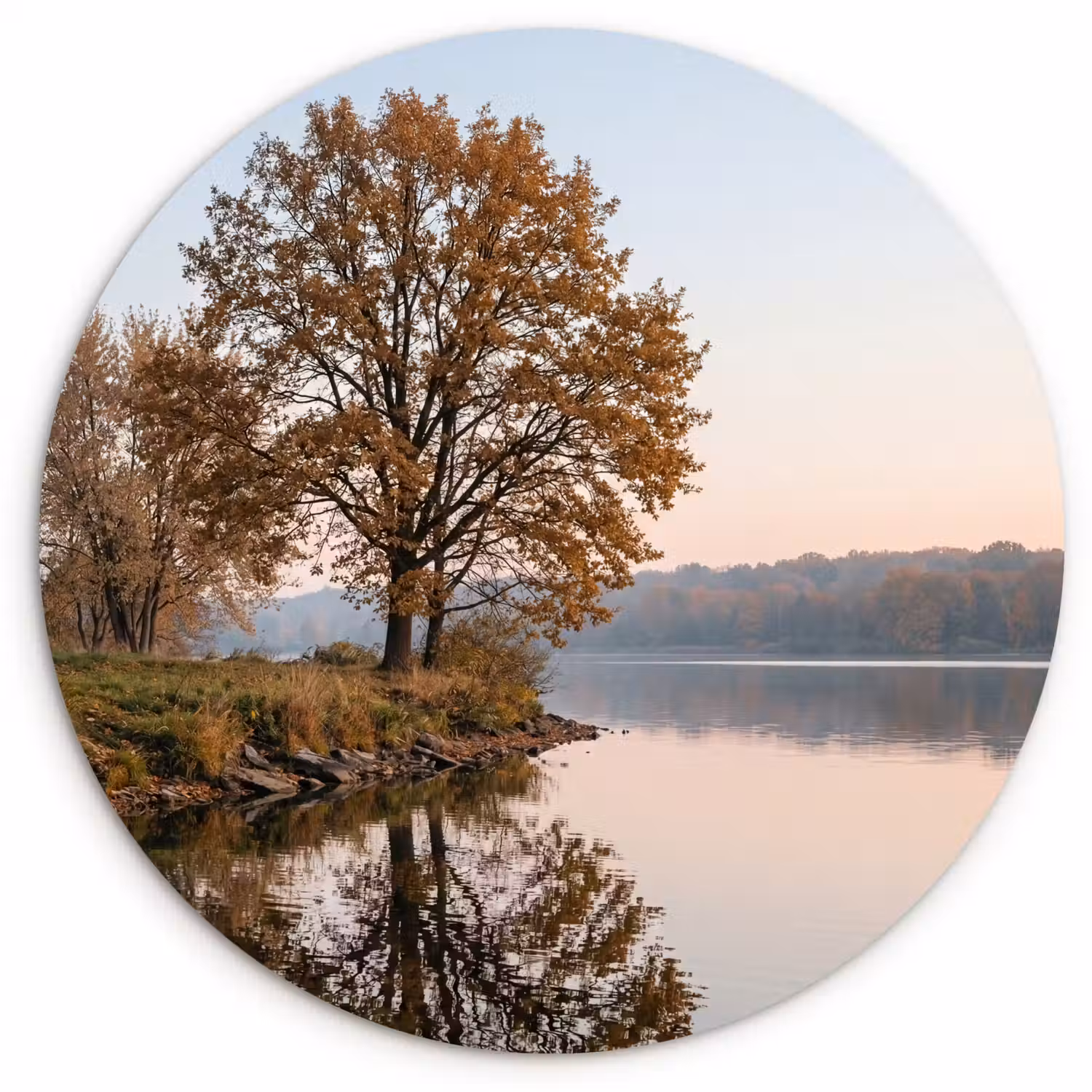 Bomen - Reflectie - Water - Zonsopgang - Serene Wandcirkel kunststof plaat 5mm dik klein -3d
