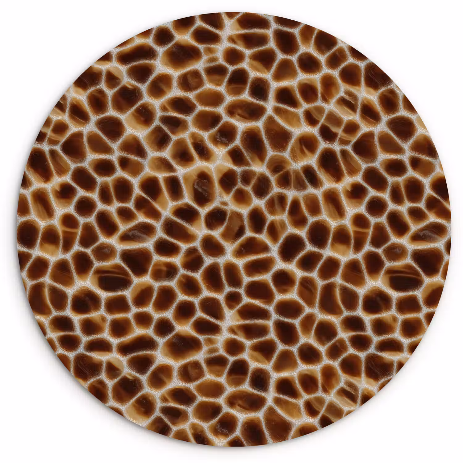 Schildpad - Bruin - Patroon Wandcirkel kunststof plaat 5mm dik klein 188 -3d