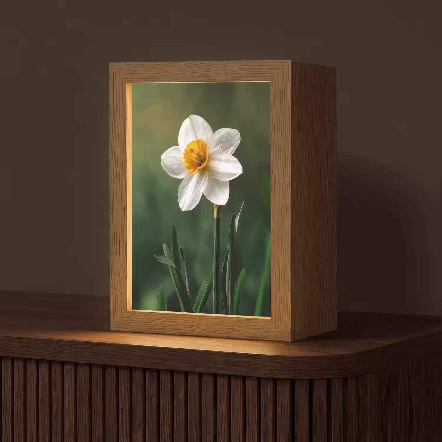 Narcis - Bloem - Wit - Grassprieten Light Box met kabel (Tafellamp) klein -z3d_website