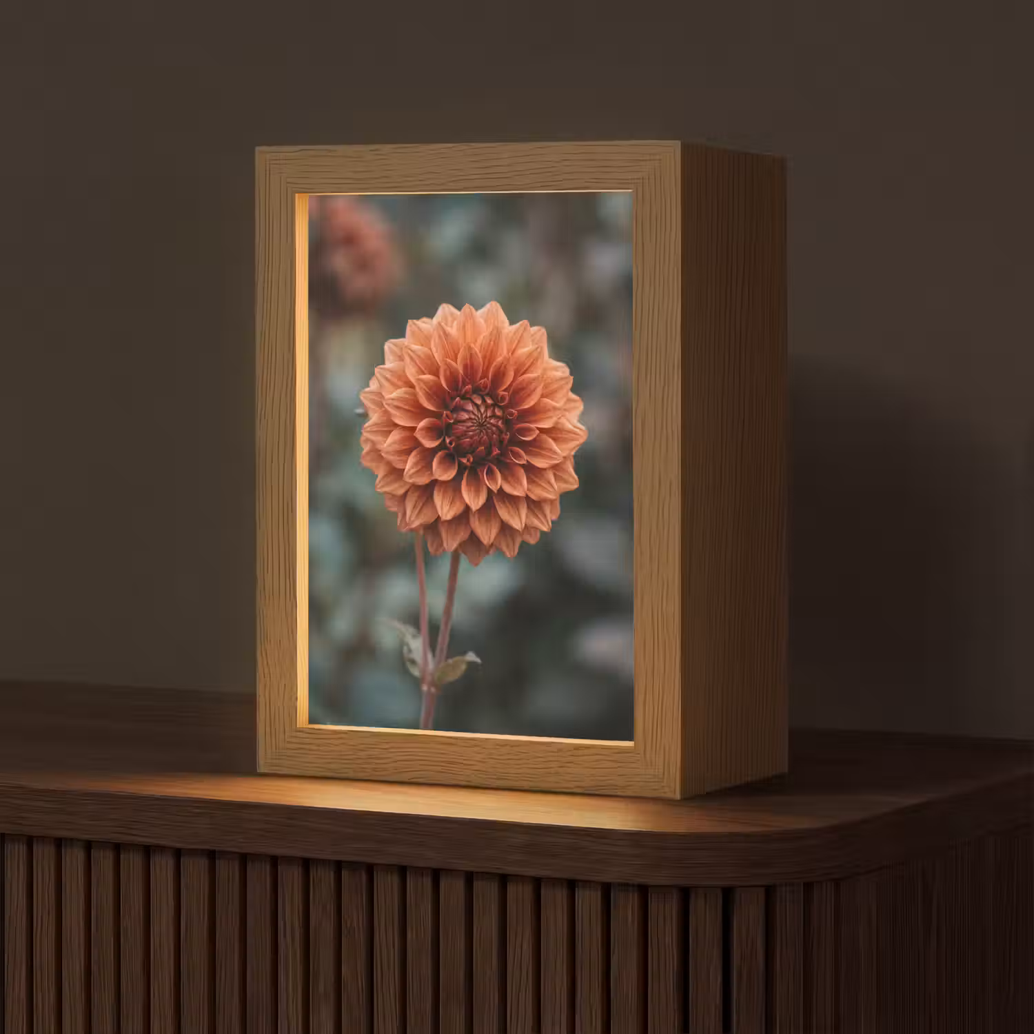 Dahlia - Bloem - Natuur - Sfeervol Light Box met kabel (Tafellamp) klein -z3d_website