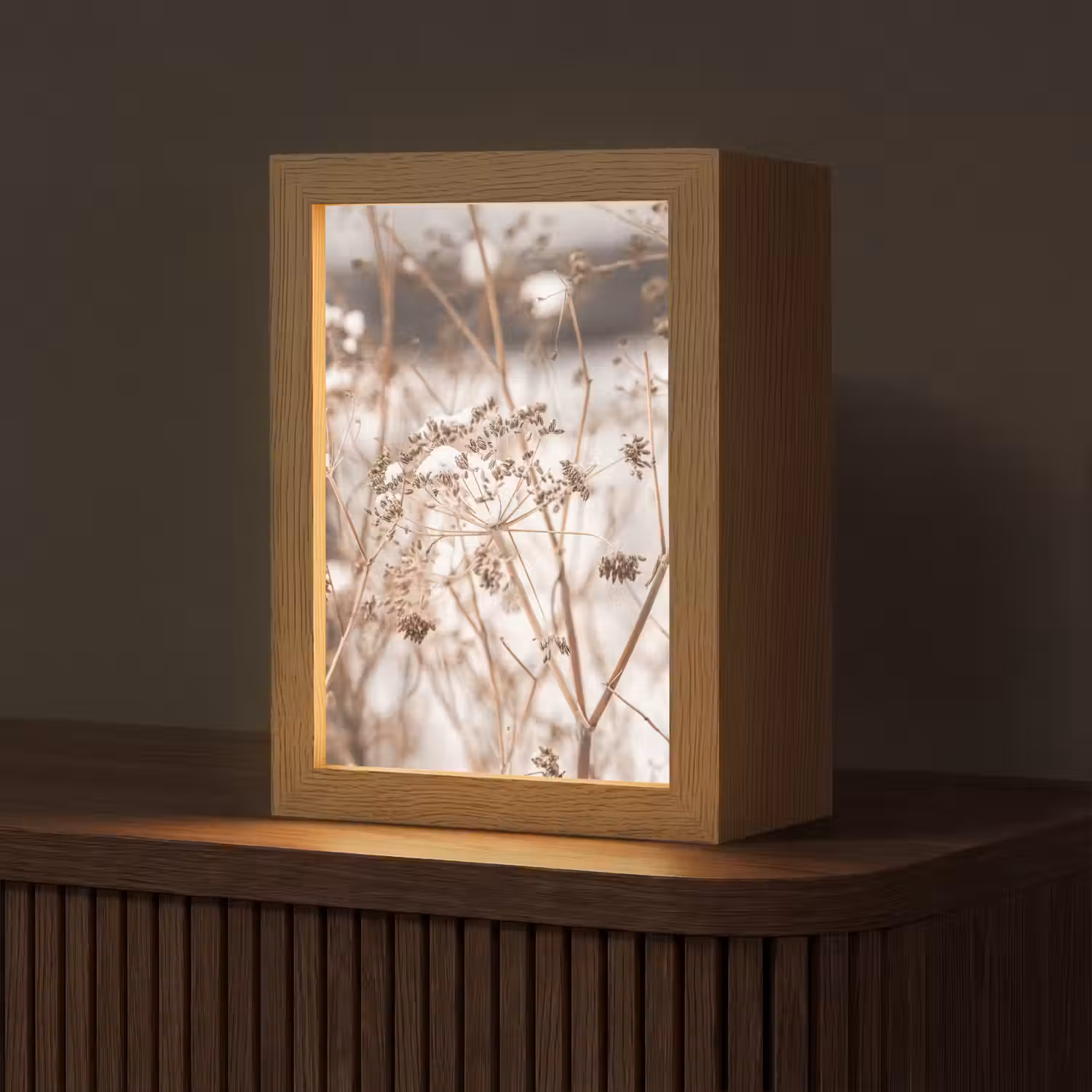 Droogbloemen - Wit - Planten Light Box met kabel (Tafellamp) klein -z3d_website