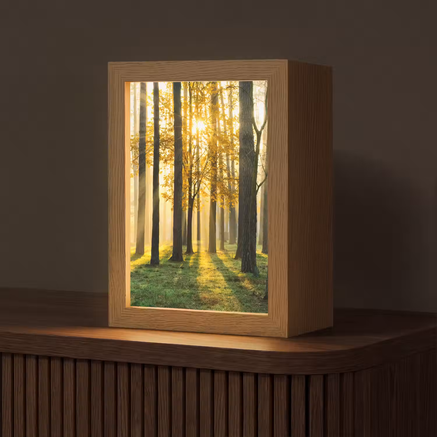 Bos - Zon - Bomen - Gras - Landschap - Natuur Light Box met kabel (Tafellamp) klein -z3d_website