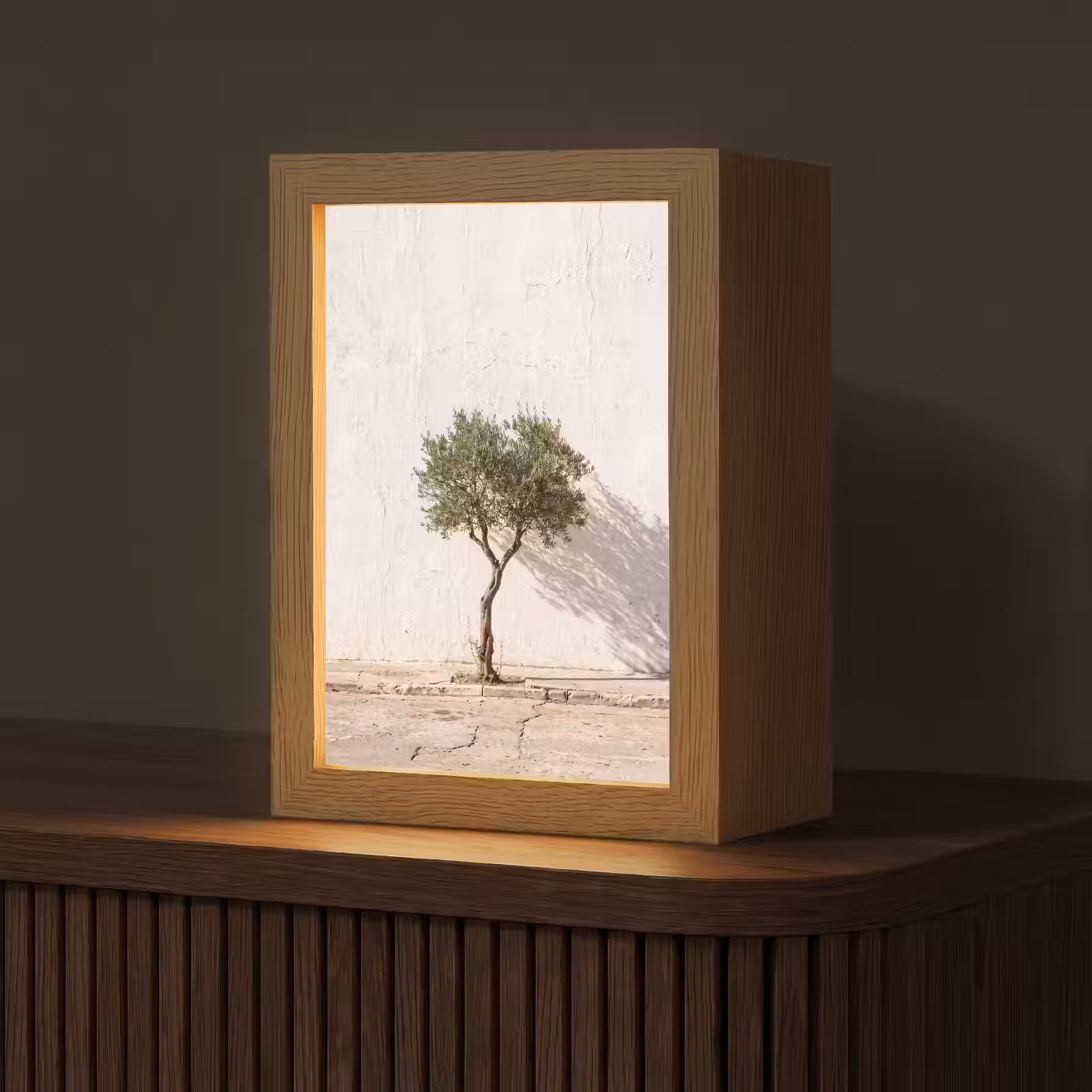 Table Lamp - Olive Tree - Wall - White - Olijfboom - muur - wit Light Box met kabel (Tafellamp) klein