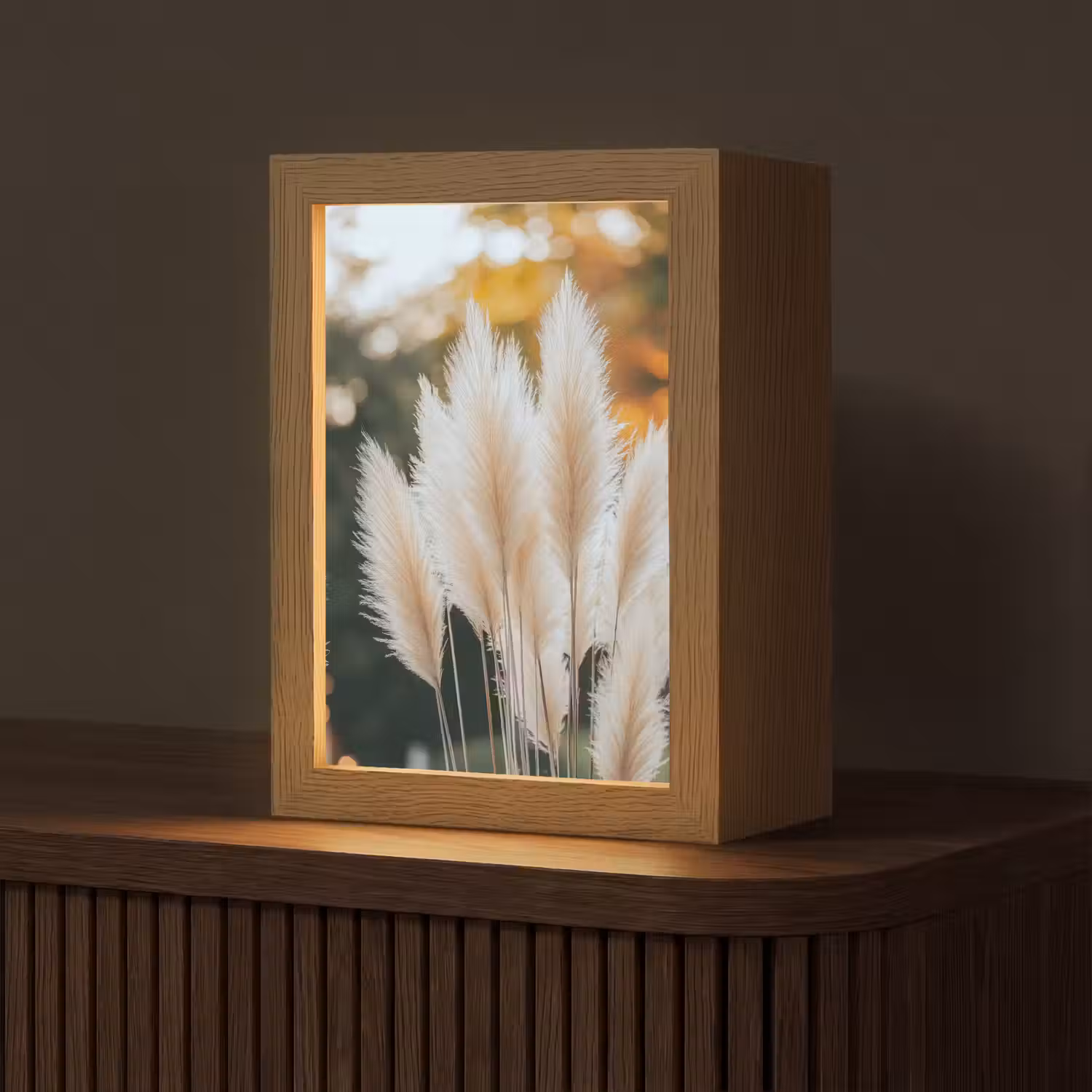 Pampasgras - Pluimen - Sierlijk Light Box met kabel (Tafellamp) klein -z3d_website