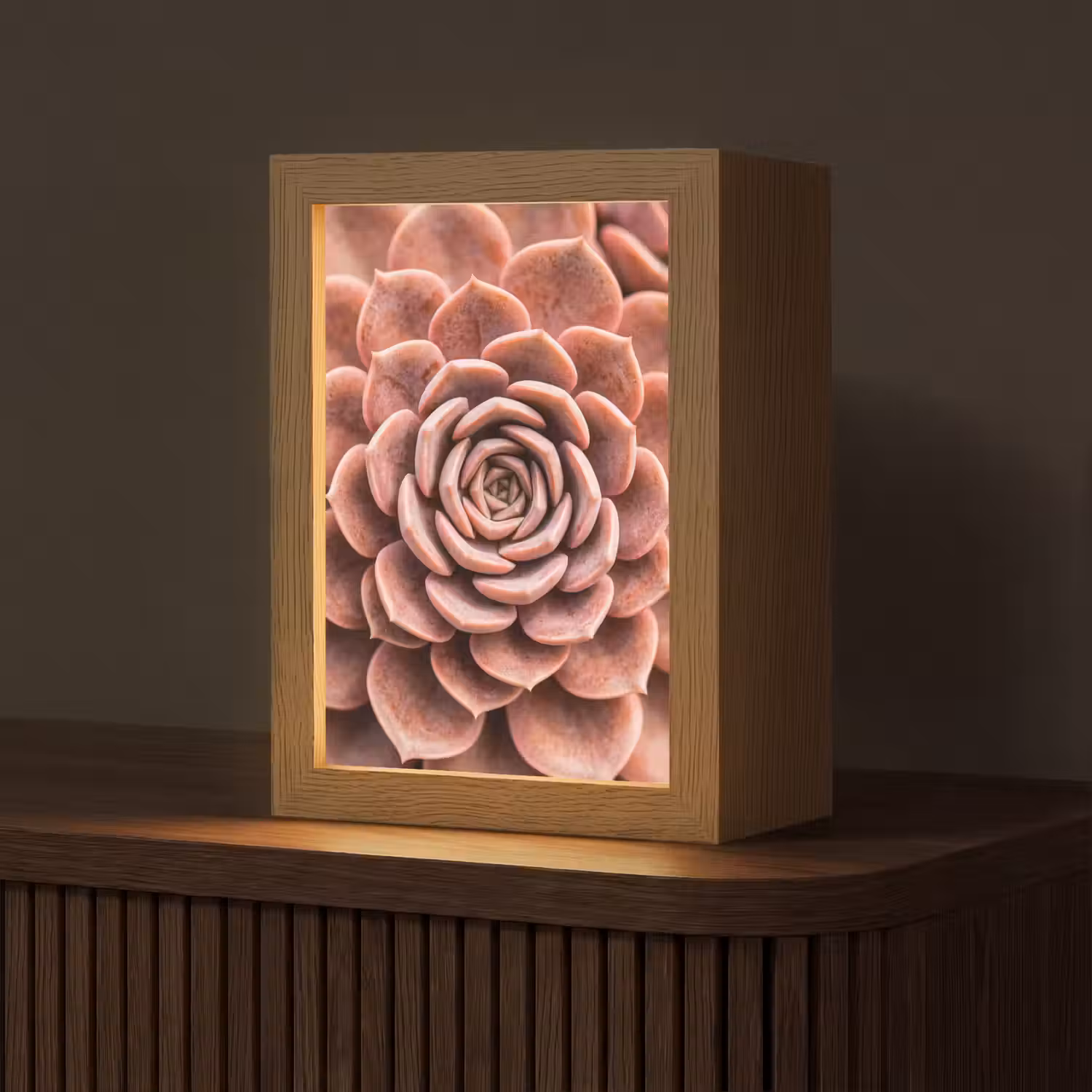 Vetplant - Organisch - Roze Light Box met kabel (Tafellamp) klein -z3d_website