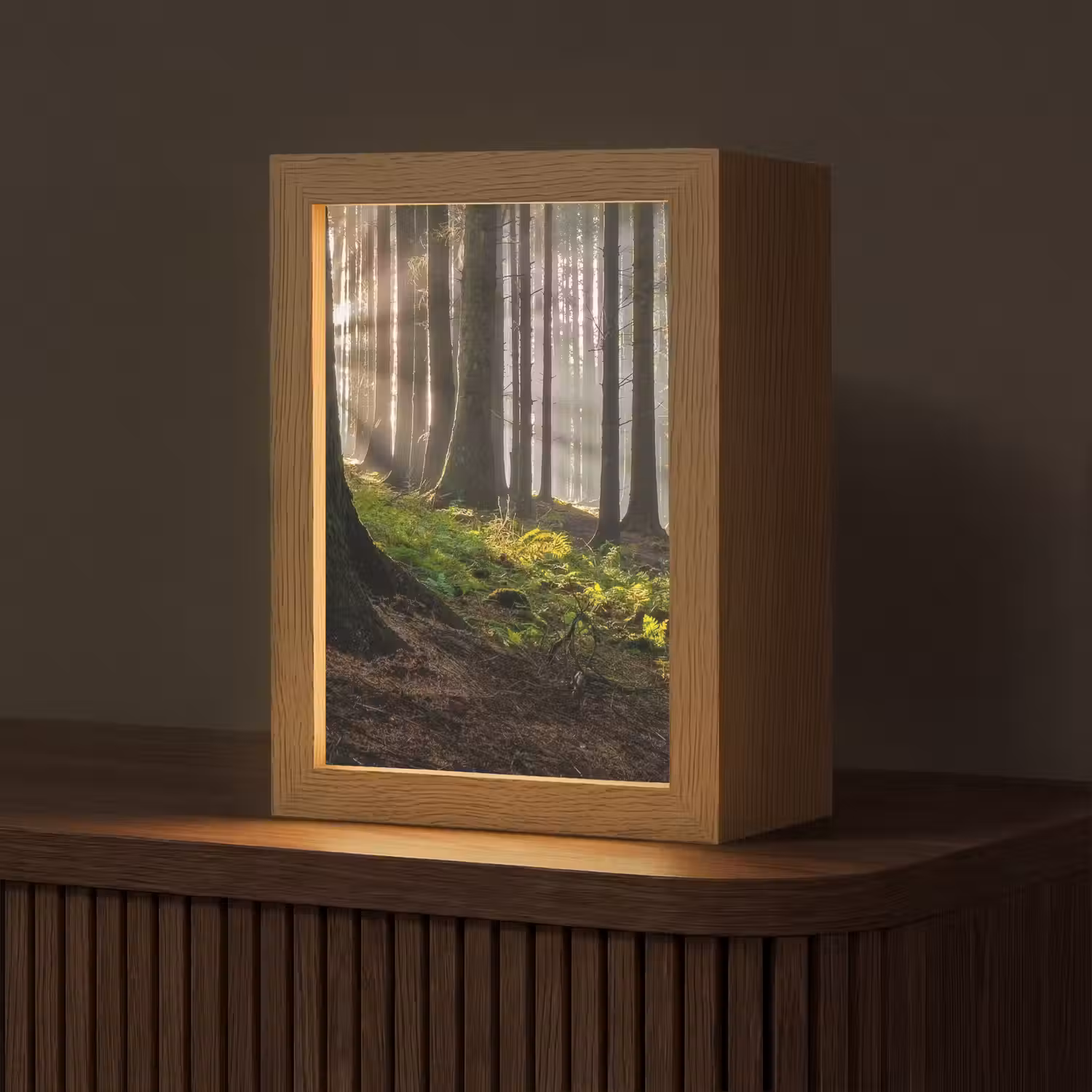 Zon - Takken - Bomen - Bos - Natuur Light Box met kabel (Tafellamp) klein -z3d_website