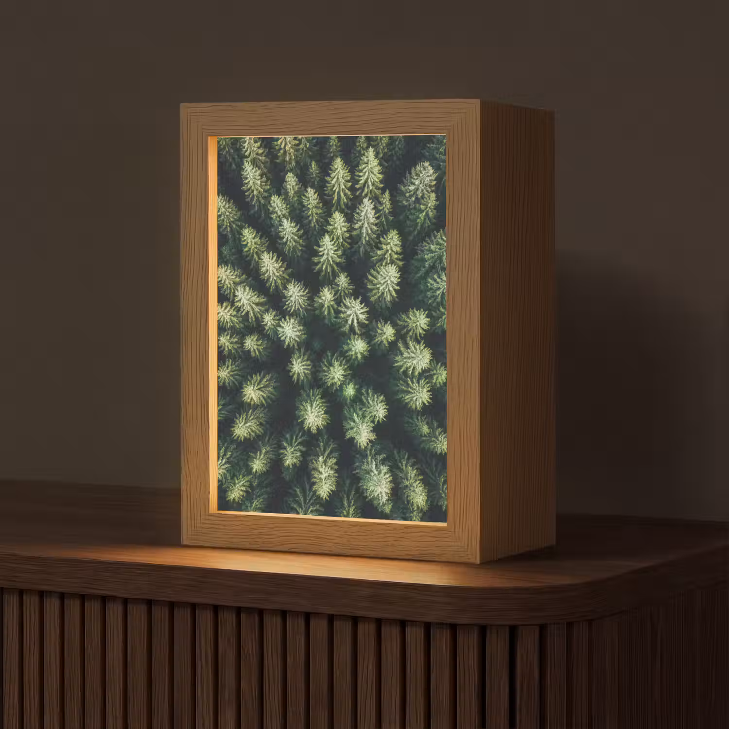 Bomen - Naaldwoud - Structuur Light Box met kabel (Tafellamp) klein -z3d_website