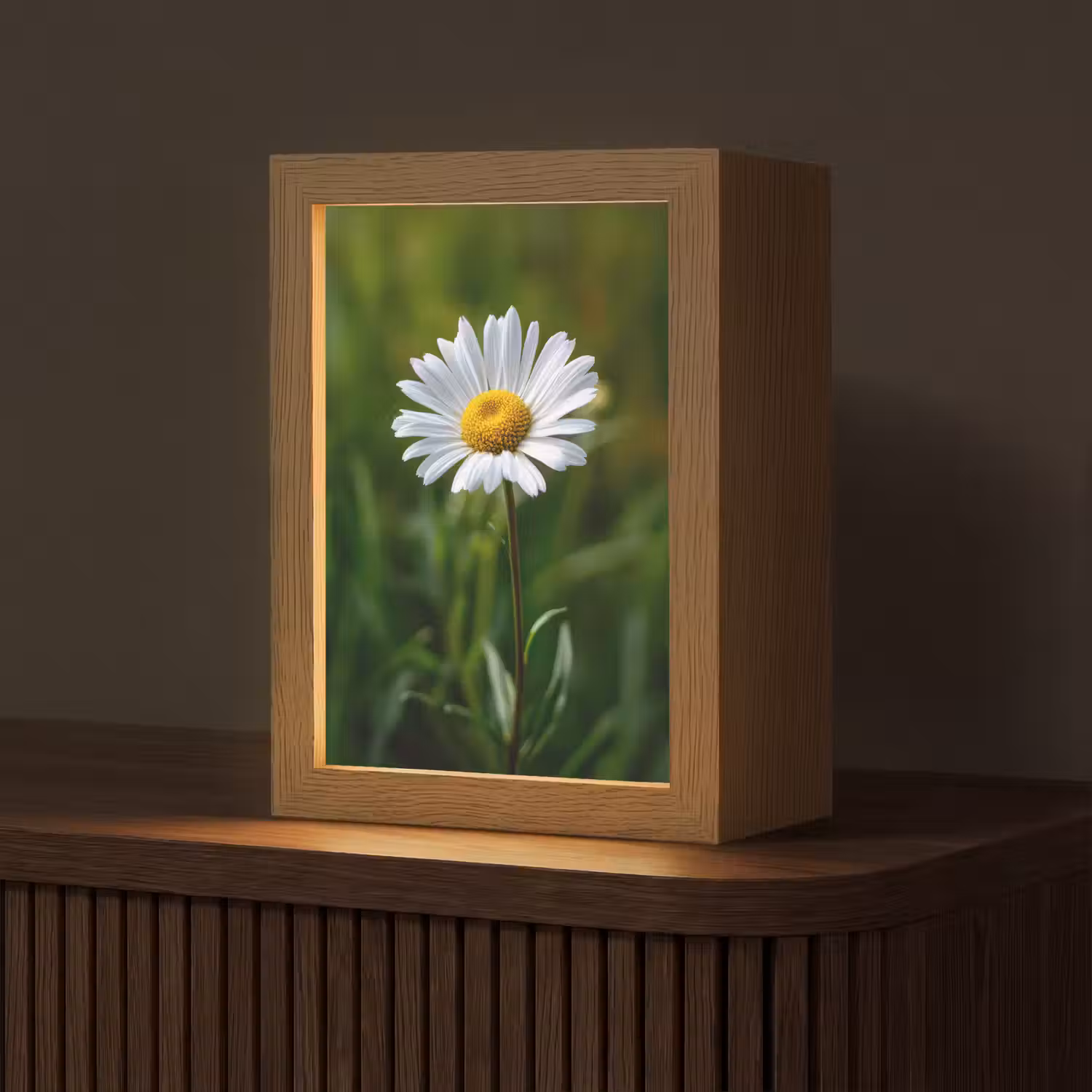 Wit - Madeliefje - Bloem - Gras Light Box met kabel (Tafellamp) klein -z3d_website