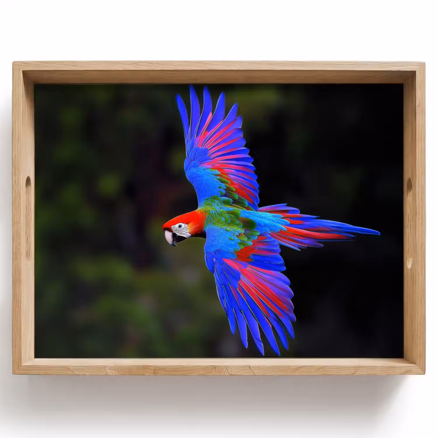 Felgekleurd - Papegaai - Bos - Vleugels Dienblad Rechthoek middel -z3d_shopping
