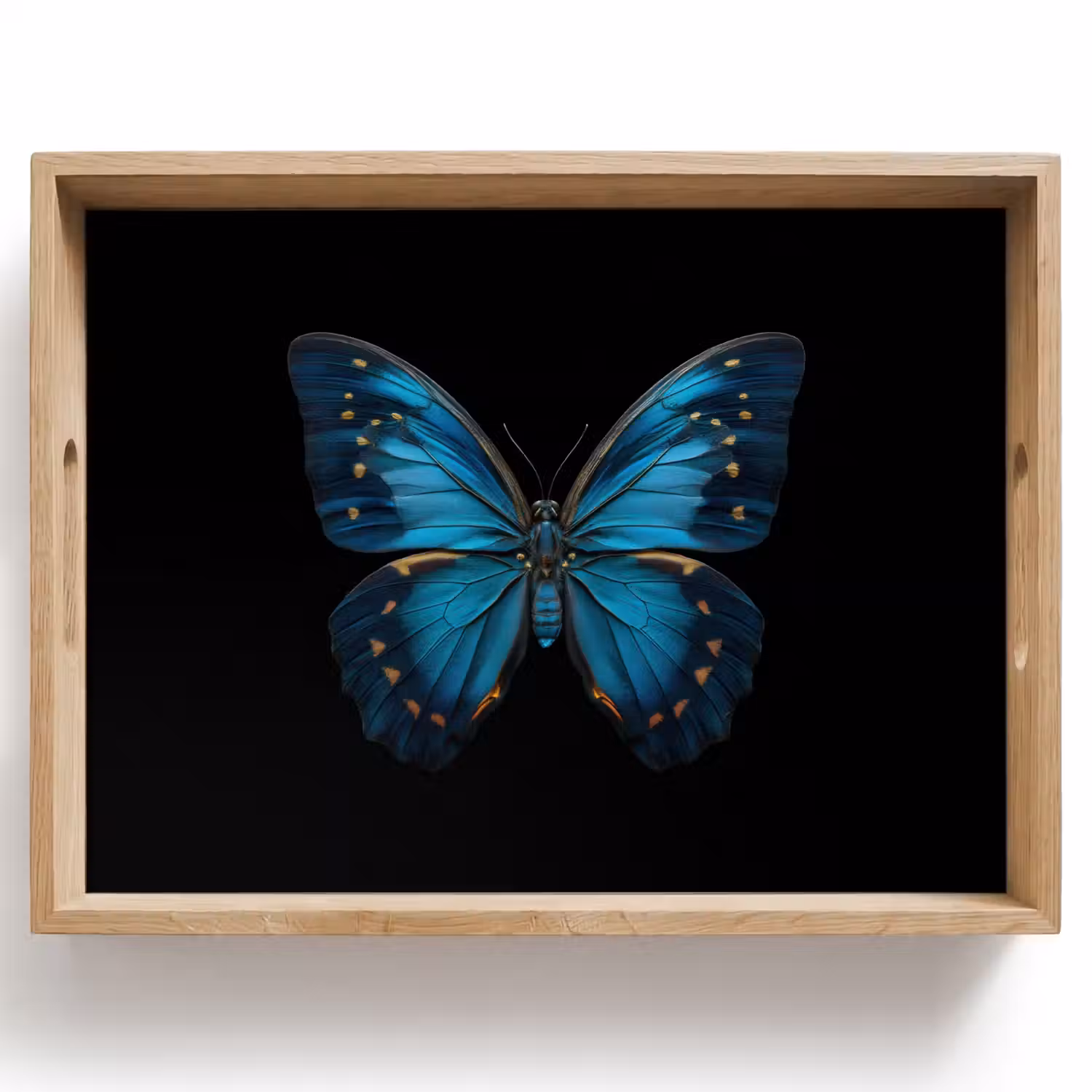 Vlinder - Blauw - Contrast Dienblad Rechthoek middel -z3d_shopping