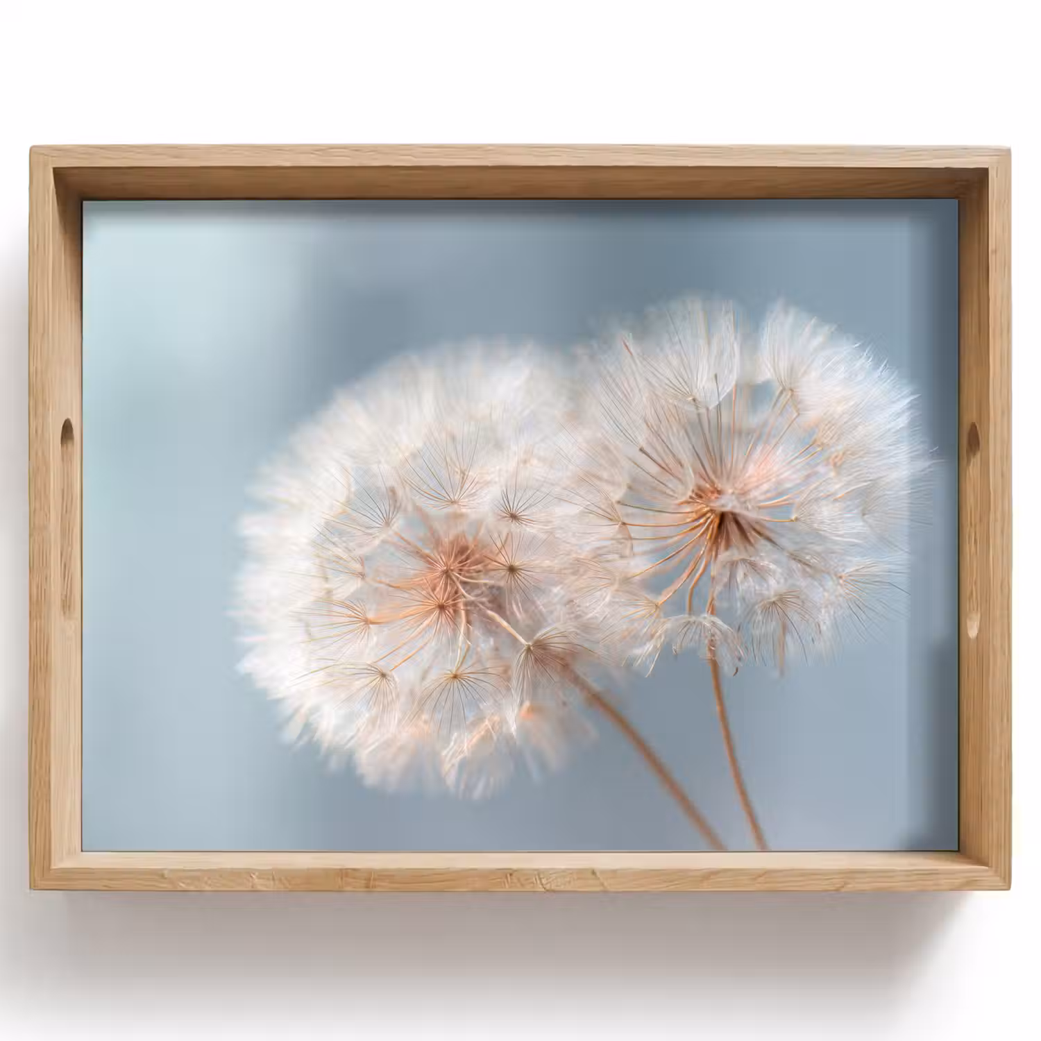 Paardenbloemen - Pluisjes - Wit Dienblad Rechthoek middel -z3d_shopping