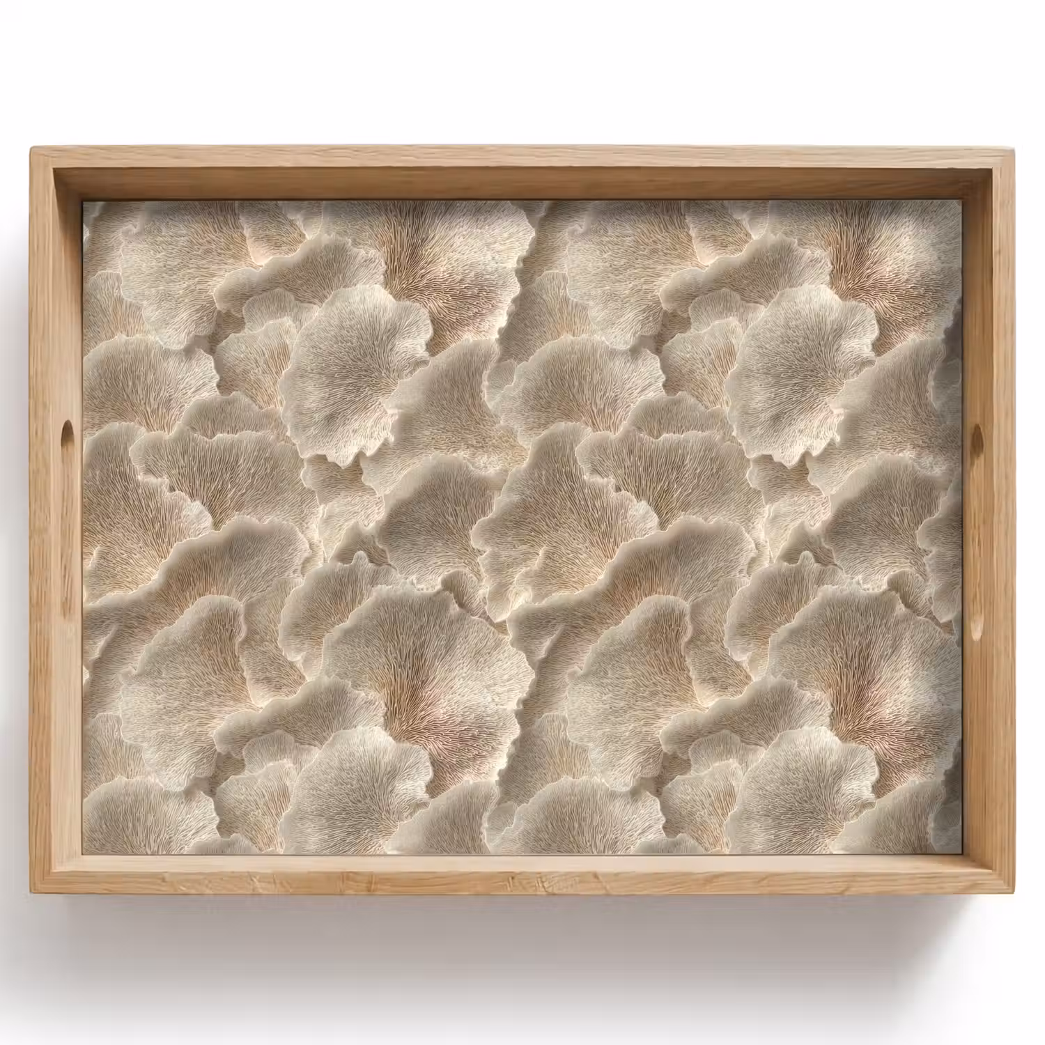 Waaierstructuren - Beige - Vezeltextuur Dienblad Rechthoek middel 911 -z3d_shopping