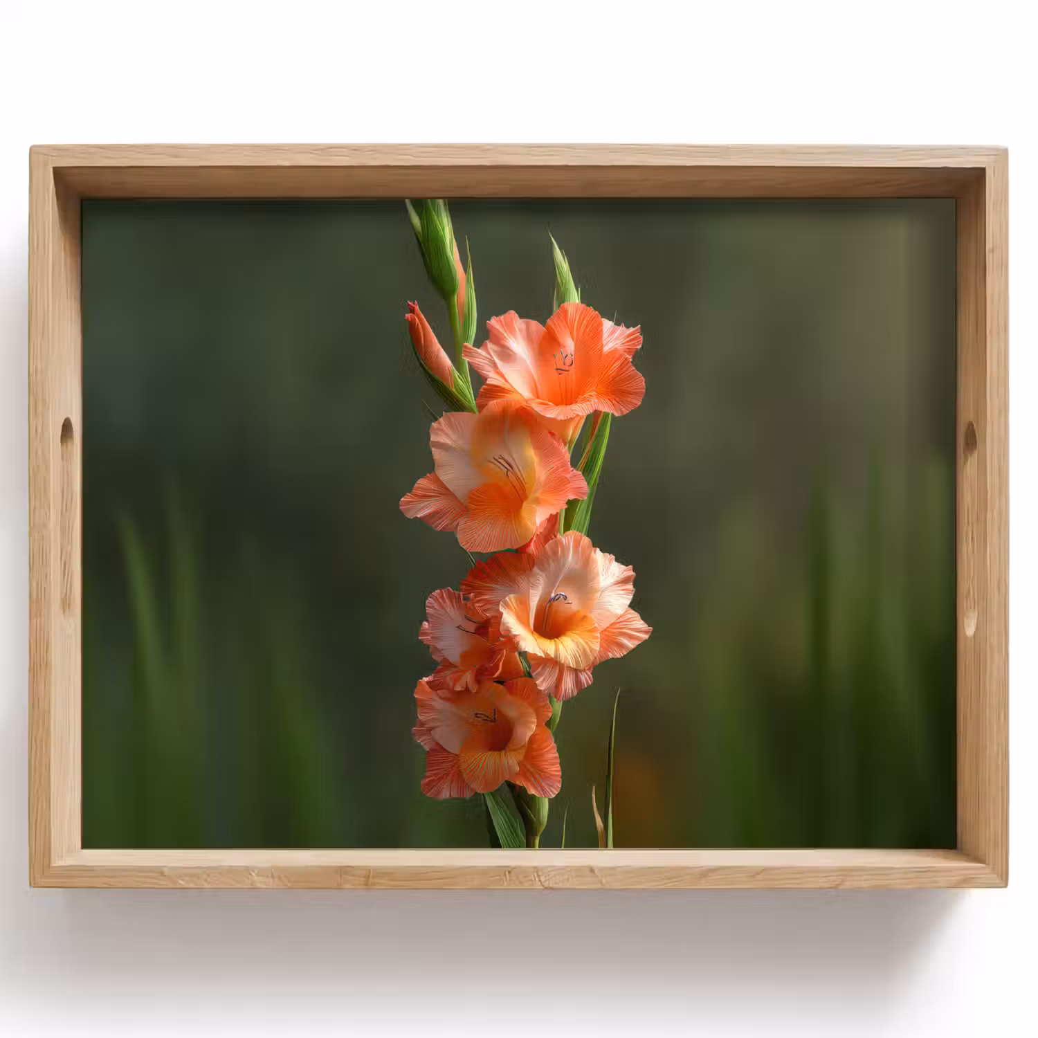 Bloem - Gladiolen - Zalmroze Dienblad Rechthoek middel -z3d_shopping