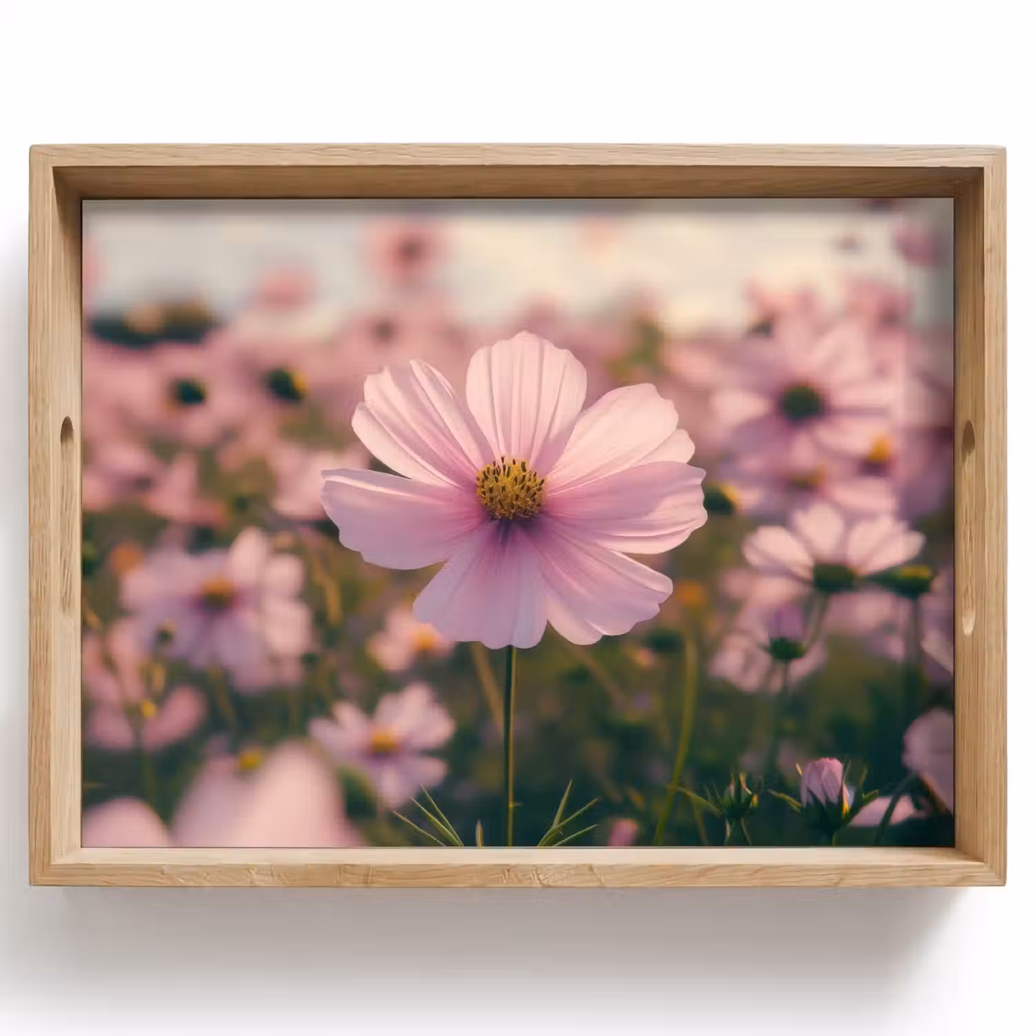 Bloemen - Paars - Wazig Dienblad Rechthoek middel -z3d_shopping