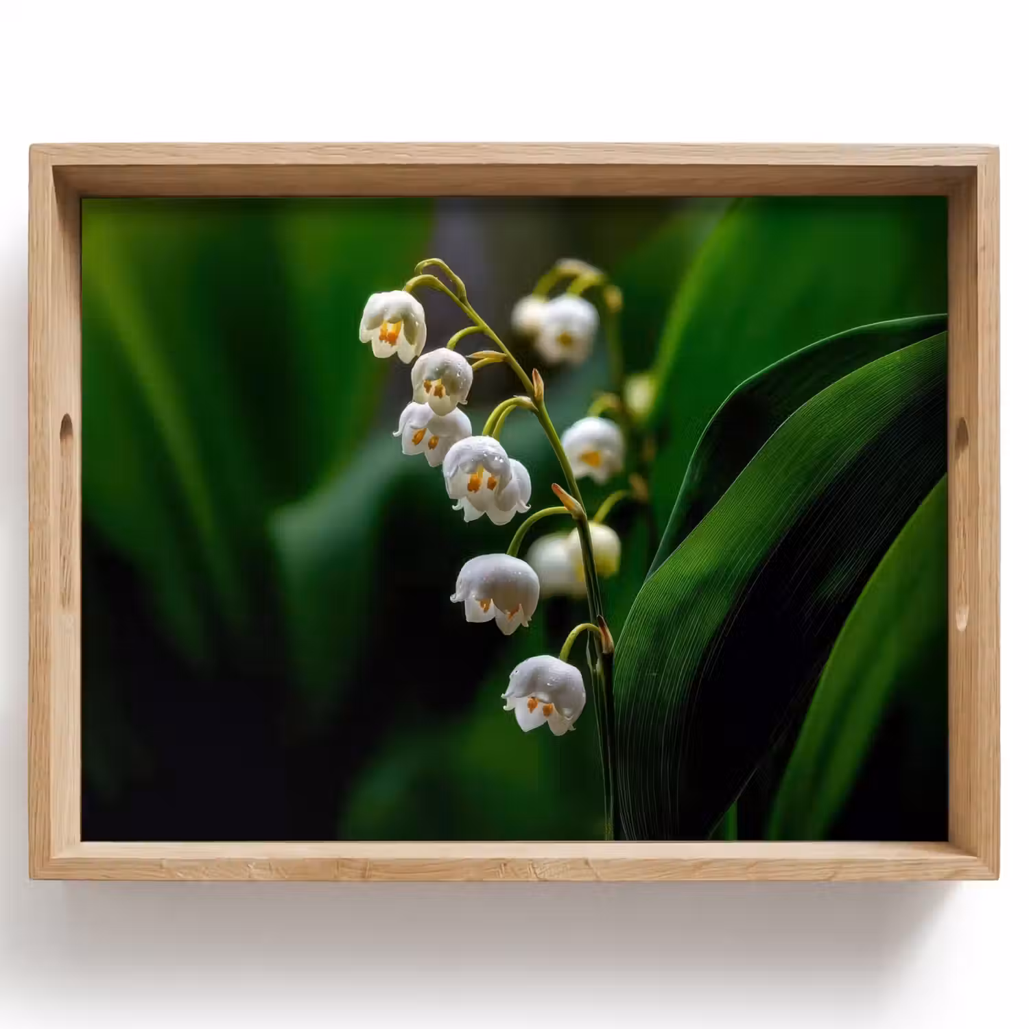 Bloemen - Wit - Bladeren - Lelietjes Dienblad Rechthoek middel -z3d_shopping